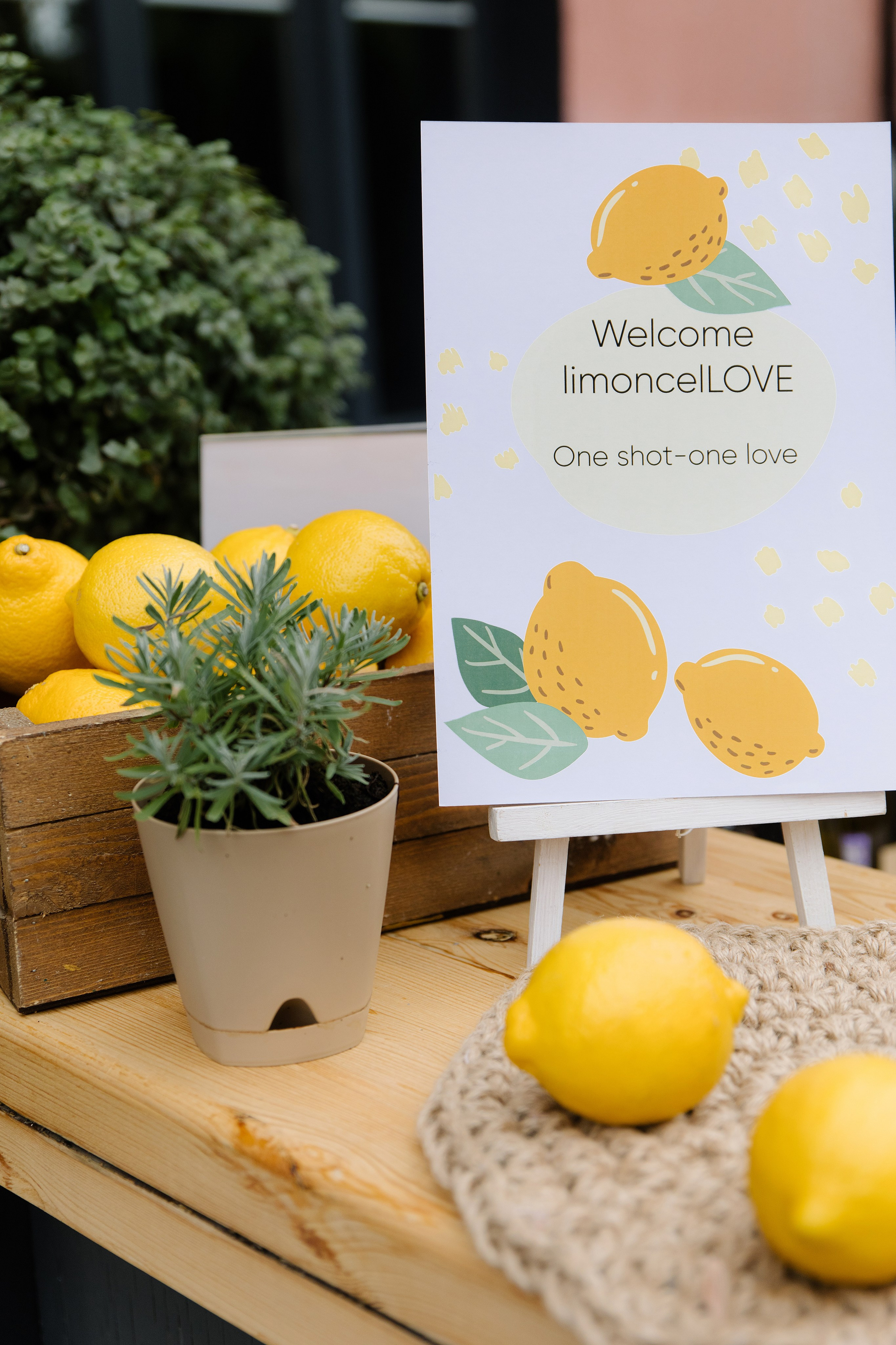 P&M. Пушистая Сова - Свадебный и портретный фотограф Воронеж, Москва, Питер