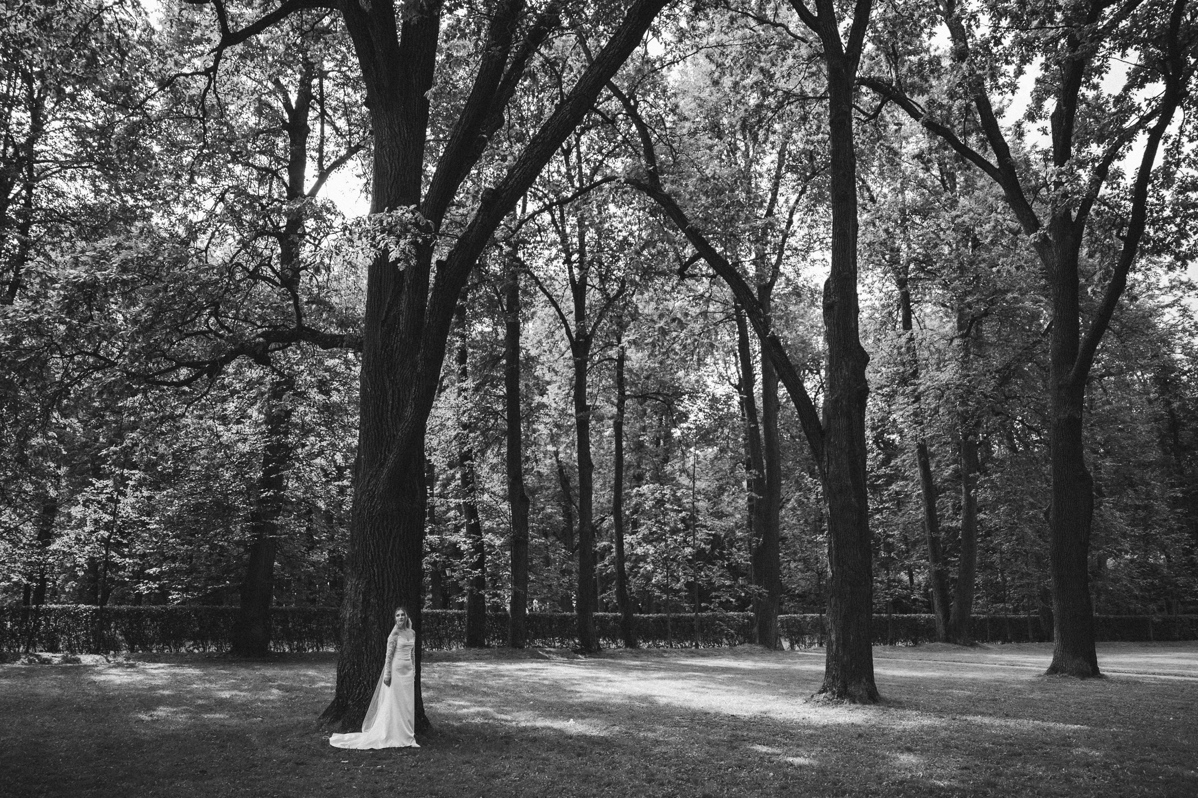 К ♡ Е — Под кроной вечности (Усадьба Остафьево). Свадебный и портретный фотограф в Москве, Светлана Янковая