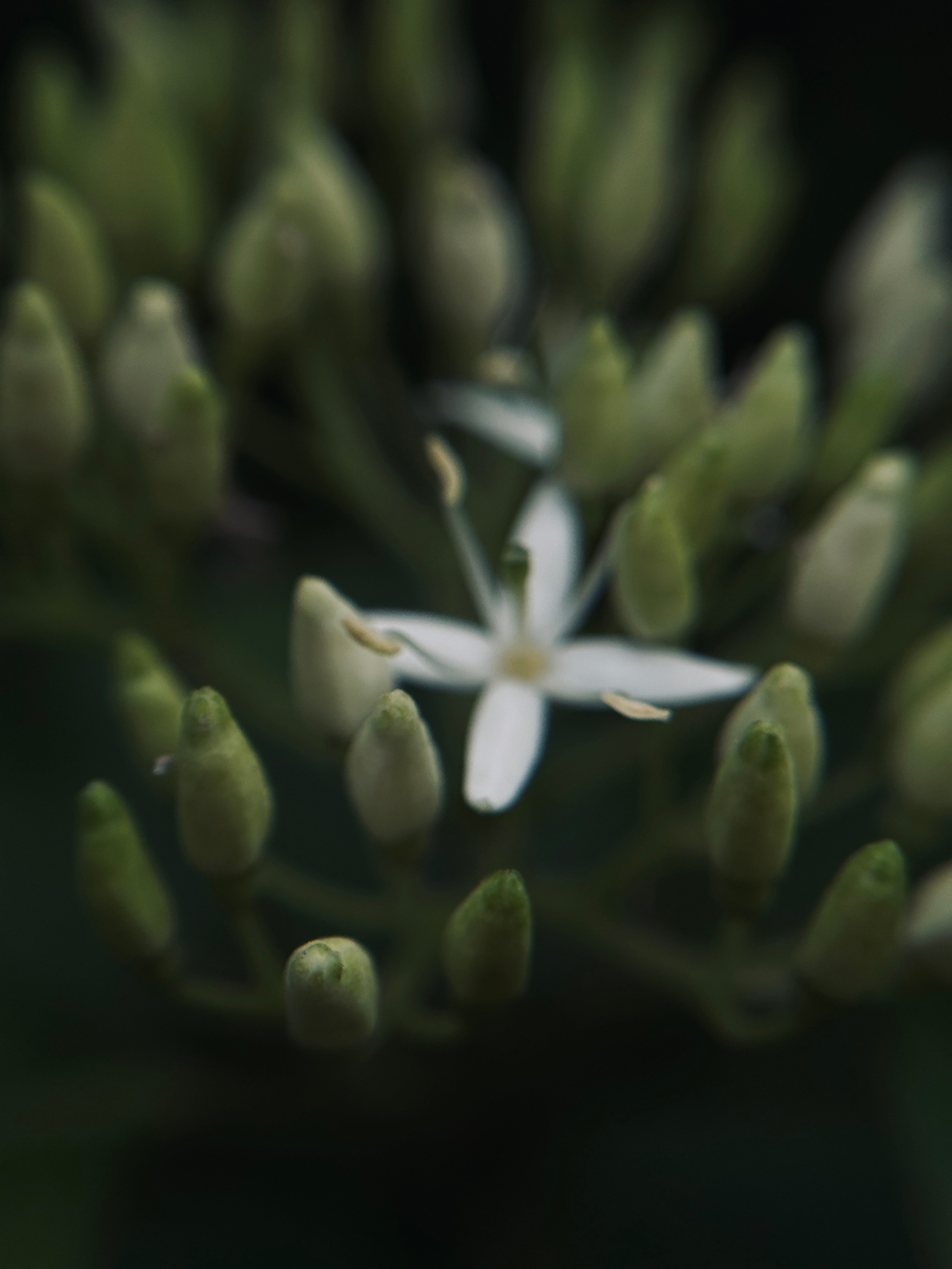 Флора и фауна. Смотри, красота!