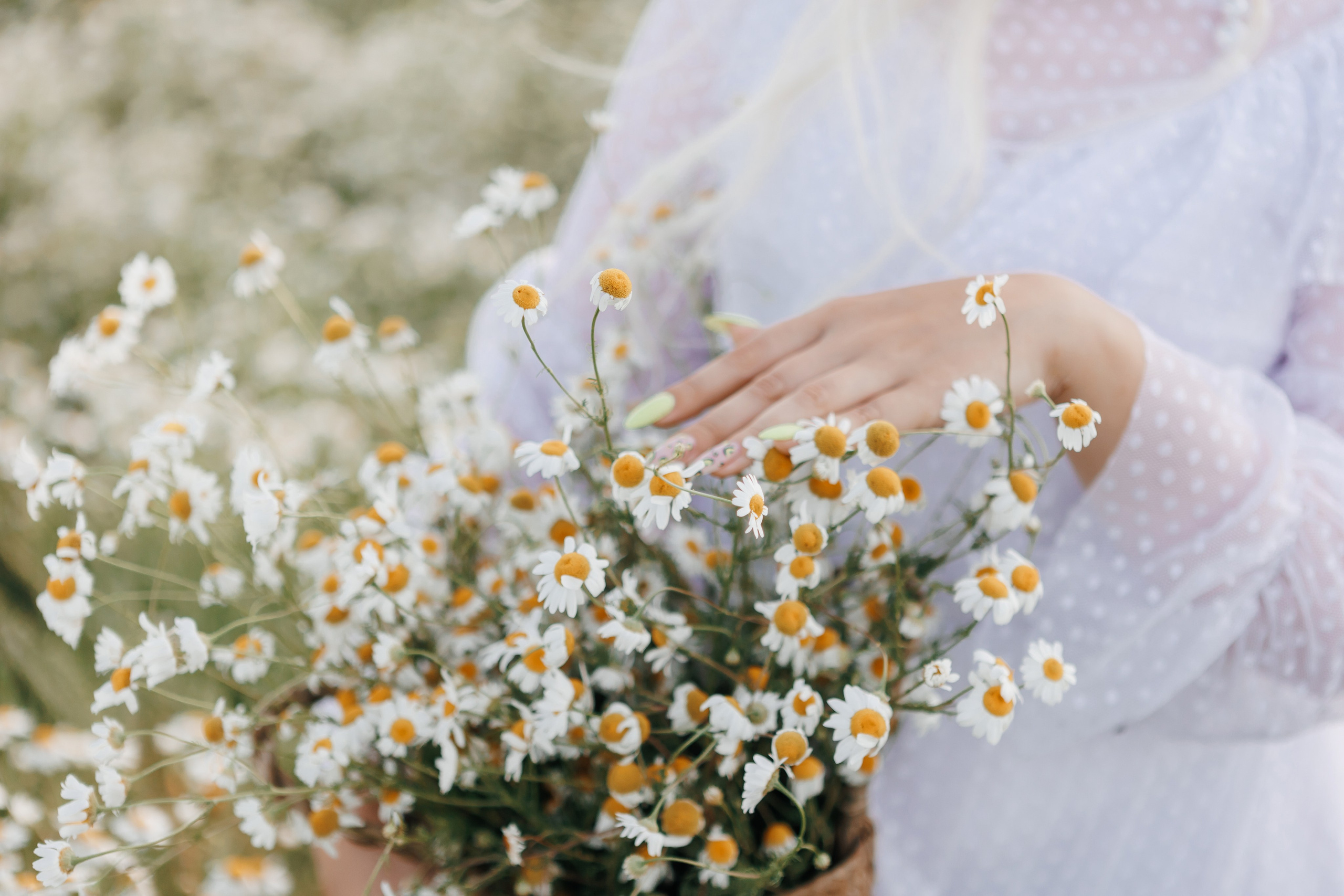 Юлия. Свадебный, семейный фотограф. Выпускные альбомы в Коченёво / Новосибирск. Наталья Байкуш