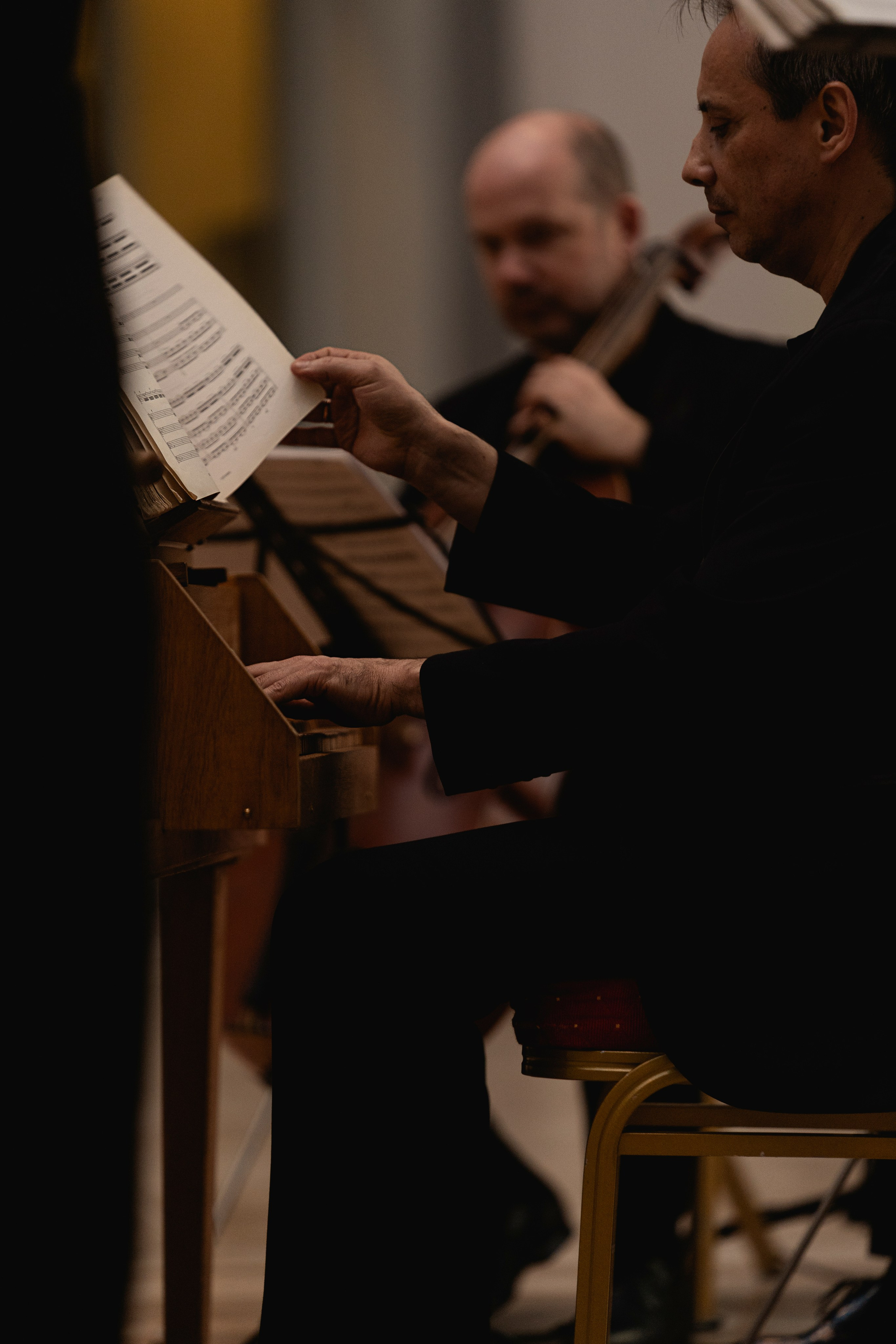 The State Hermitage Museum. Divertissement Chamber Orchestra. Фотограф Ирина Соколенко Санкт-Петербург