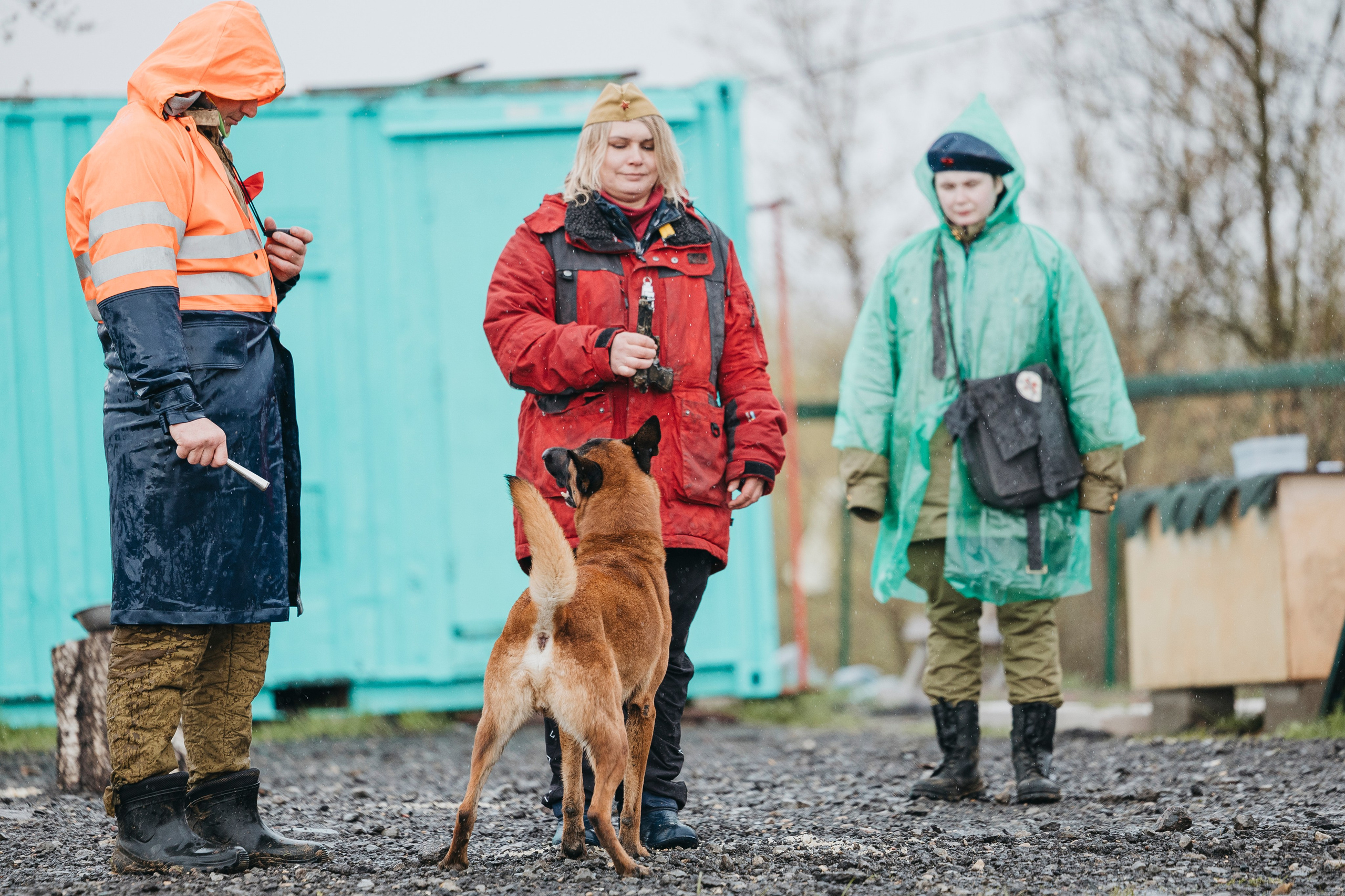 09.05.25 Вологда соревнования. Фотограф-анималист Анна Маринич