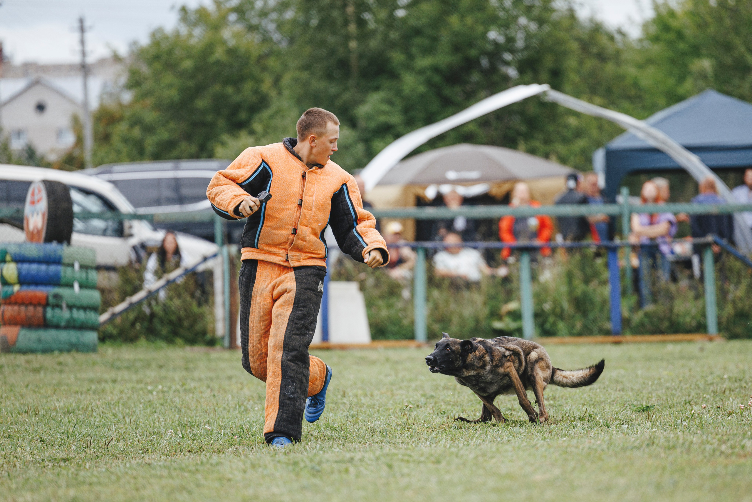 08.08.25-10.08.25 ЧР по мондьорингу г. Вологда. Фотограф-анималист Анна Маринич