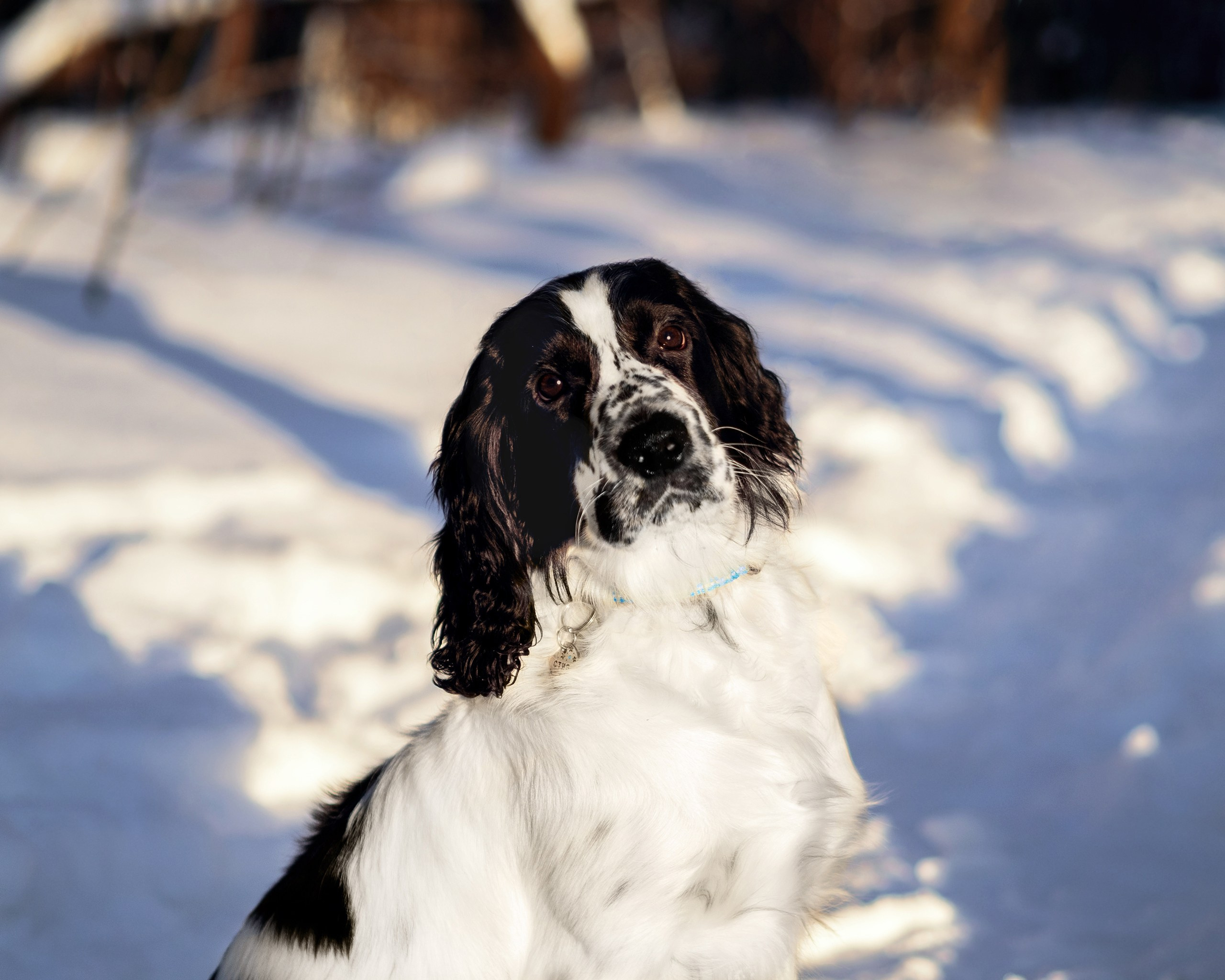 Саша и Стив