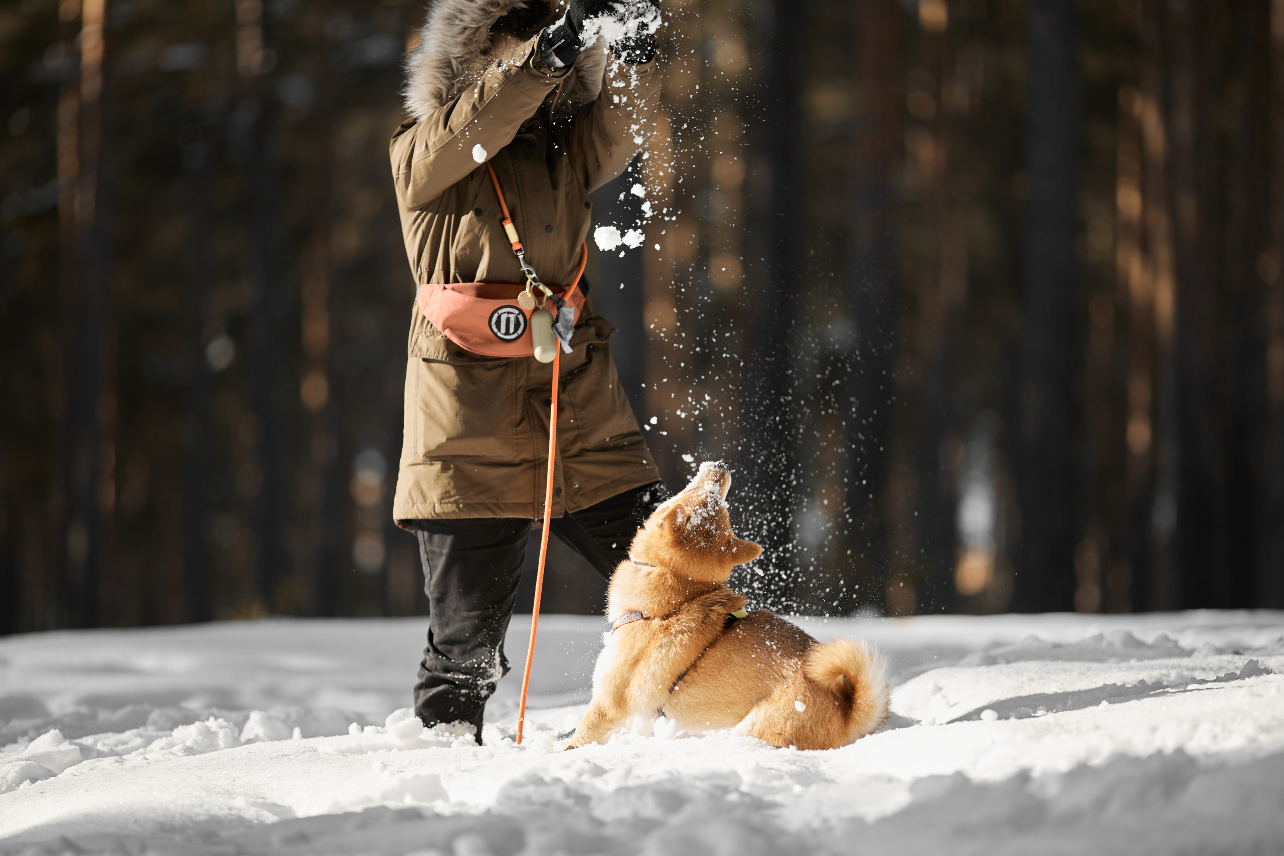 Ирина и Симба. Фотограф-анималист Мартынова Анастасия