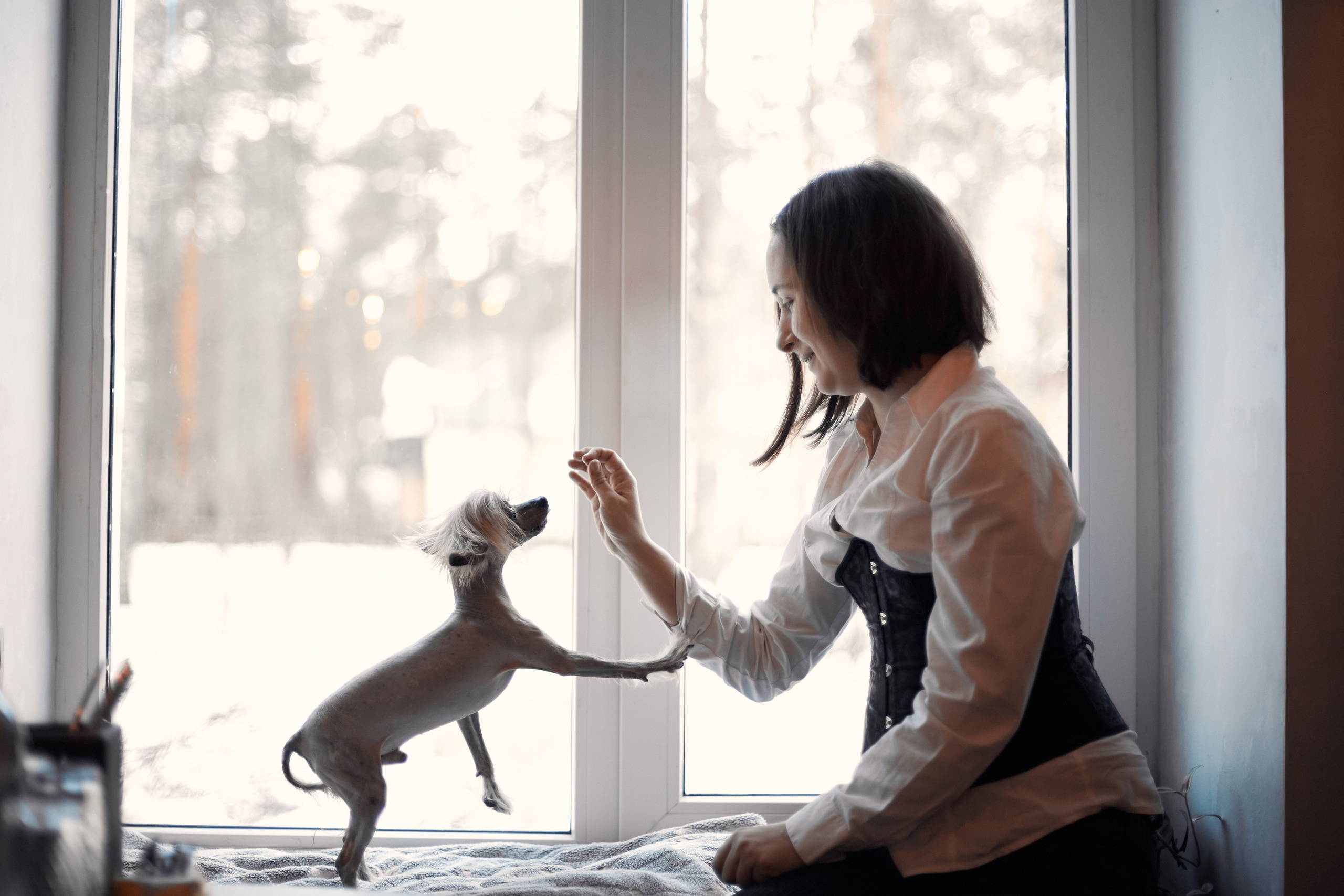 Надежда и Арчи. Фотограф-анималист Мартынова Анастасия