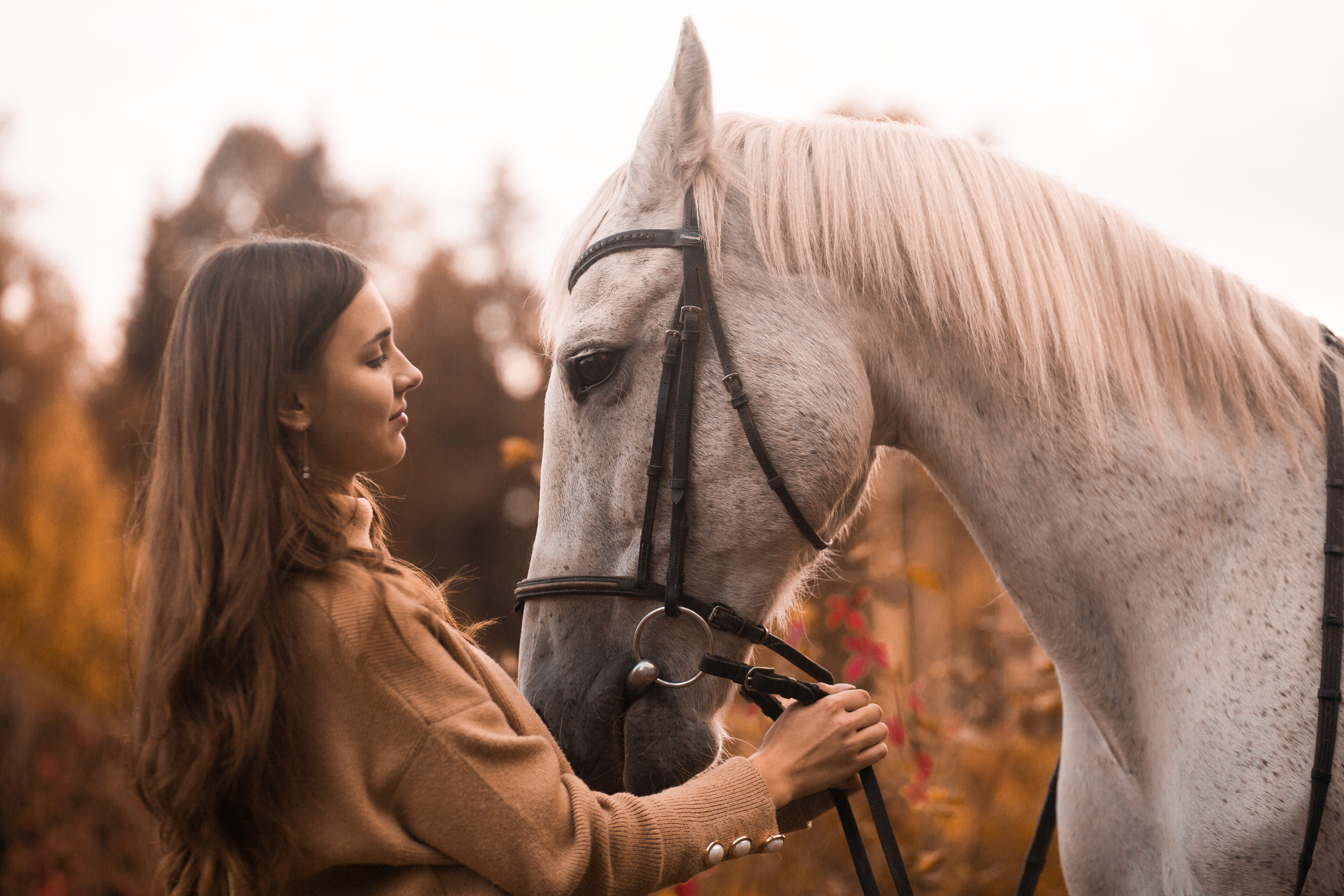 Соня и Каспер. Фотограф-анималист Мартынова Анастасия