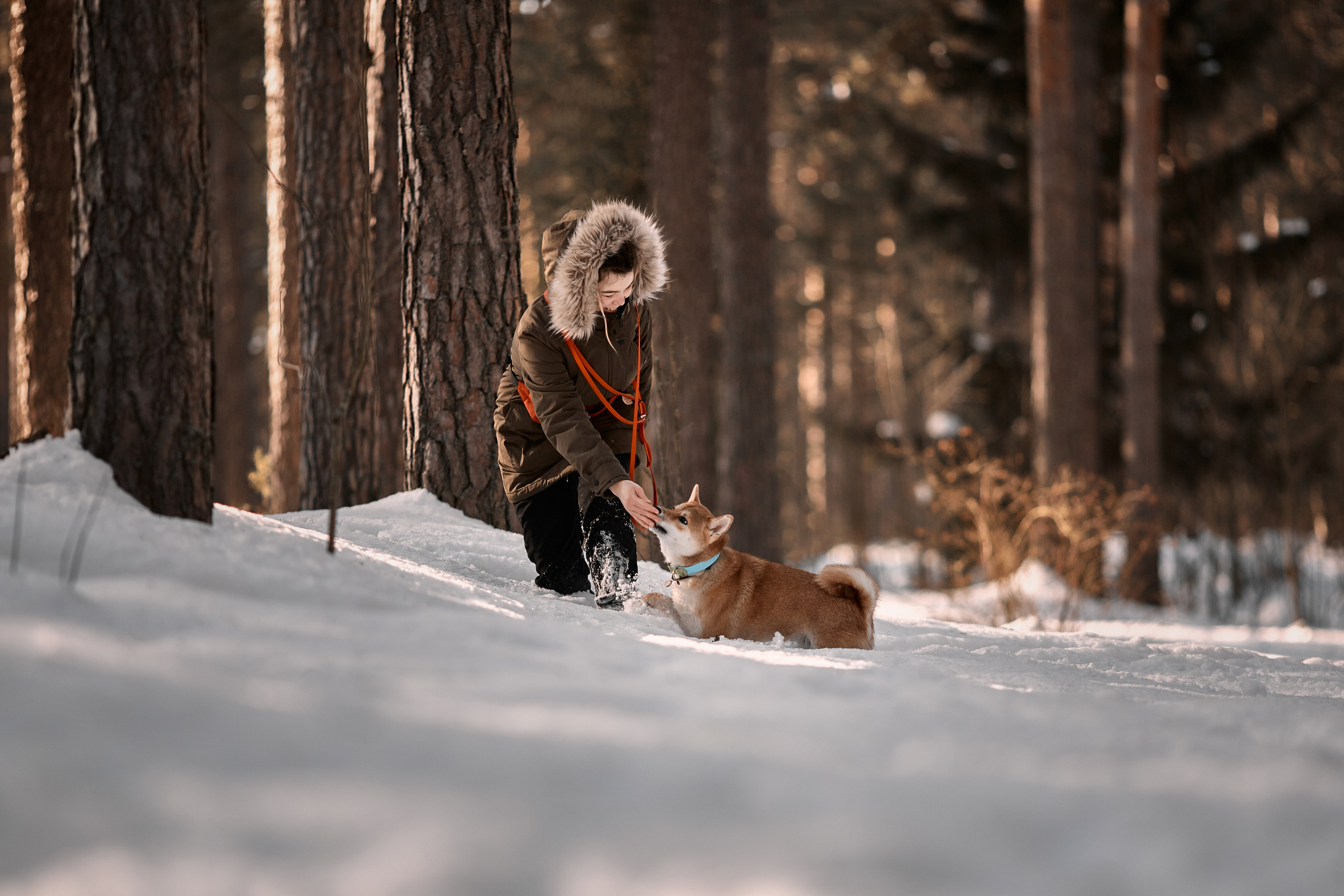 Ирина и Симба. Фотограф-анималист Мартынова Анастасия