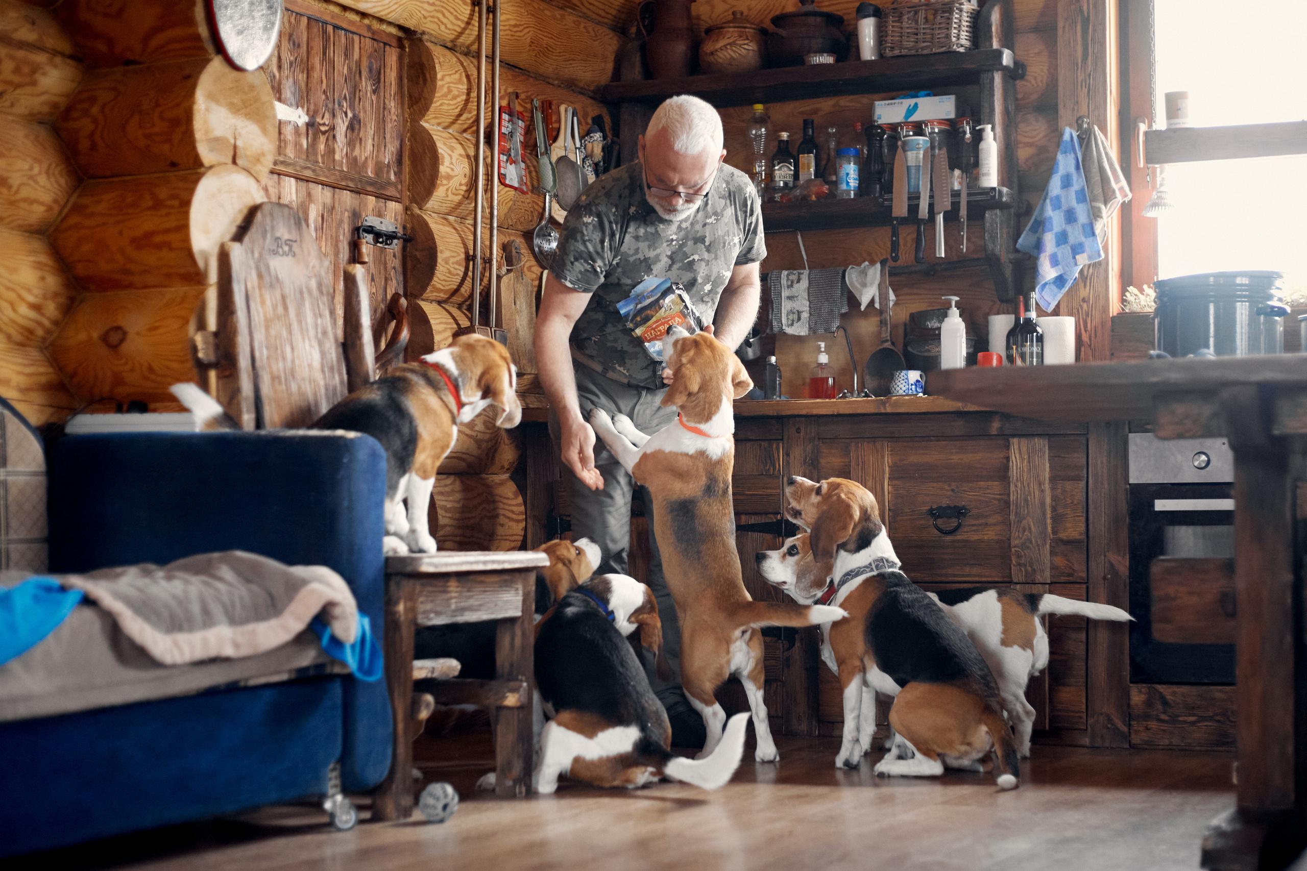 Бигледом. Фотограф-анималист Мартынова Анастасия