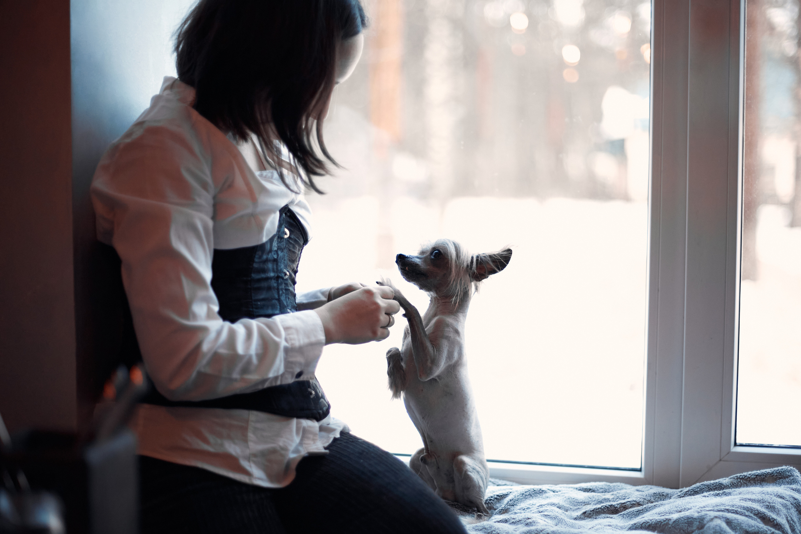 Надежда и Арчи. Фотограф-анималист Мартынова Анастасия