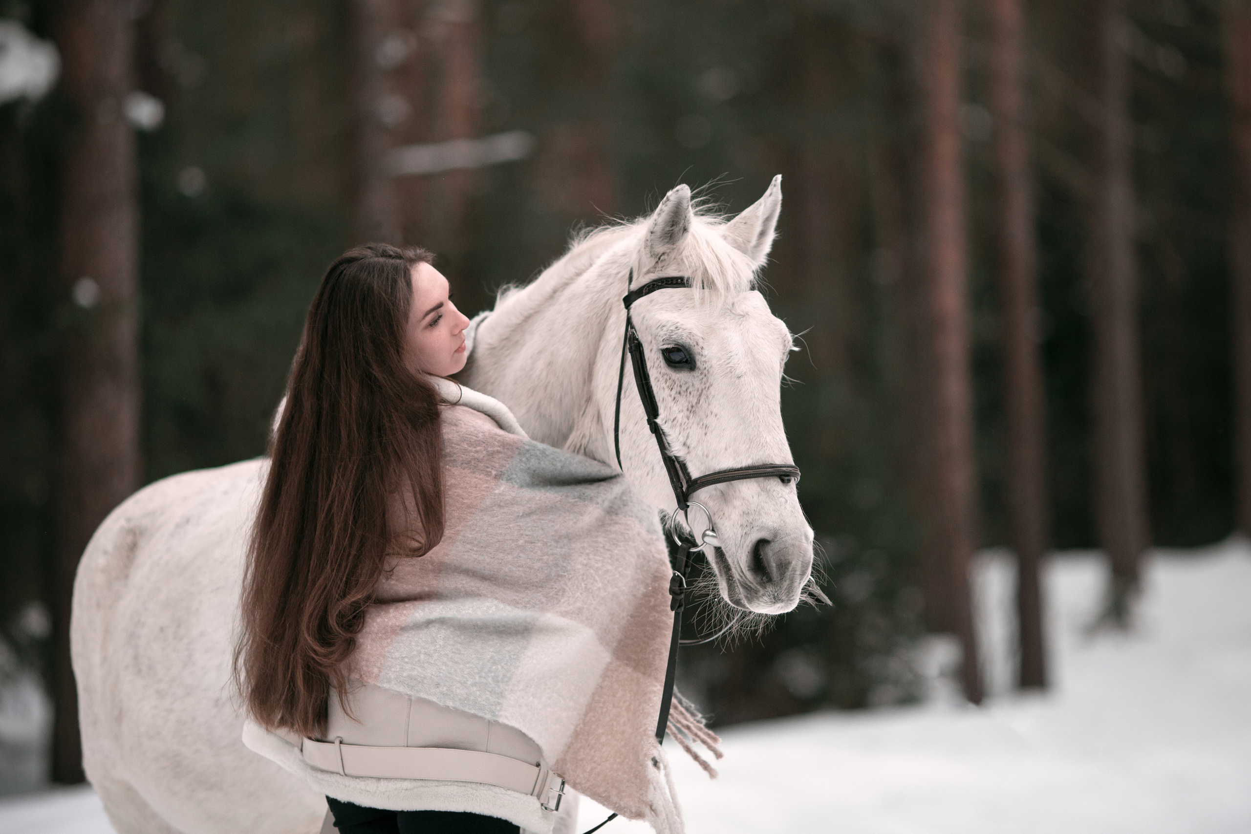 Саша и Каспер. Фотограф-анималист Мартынова Анастасия
