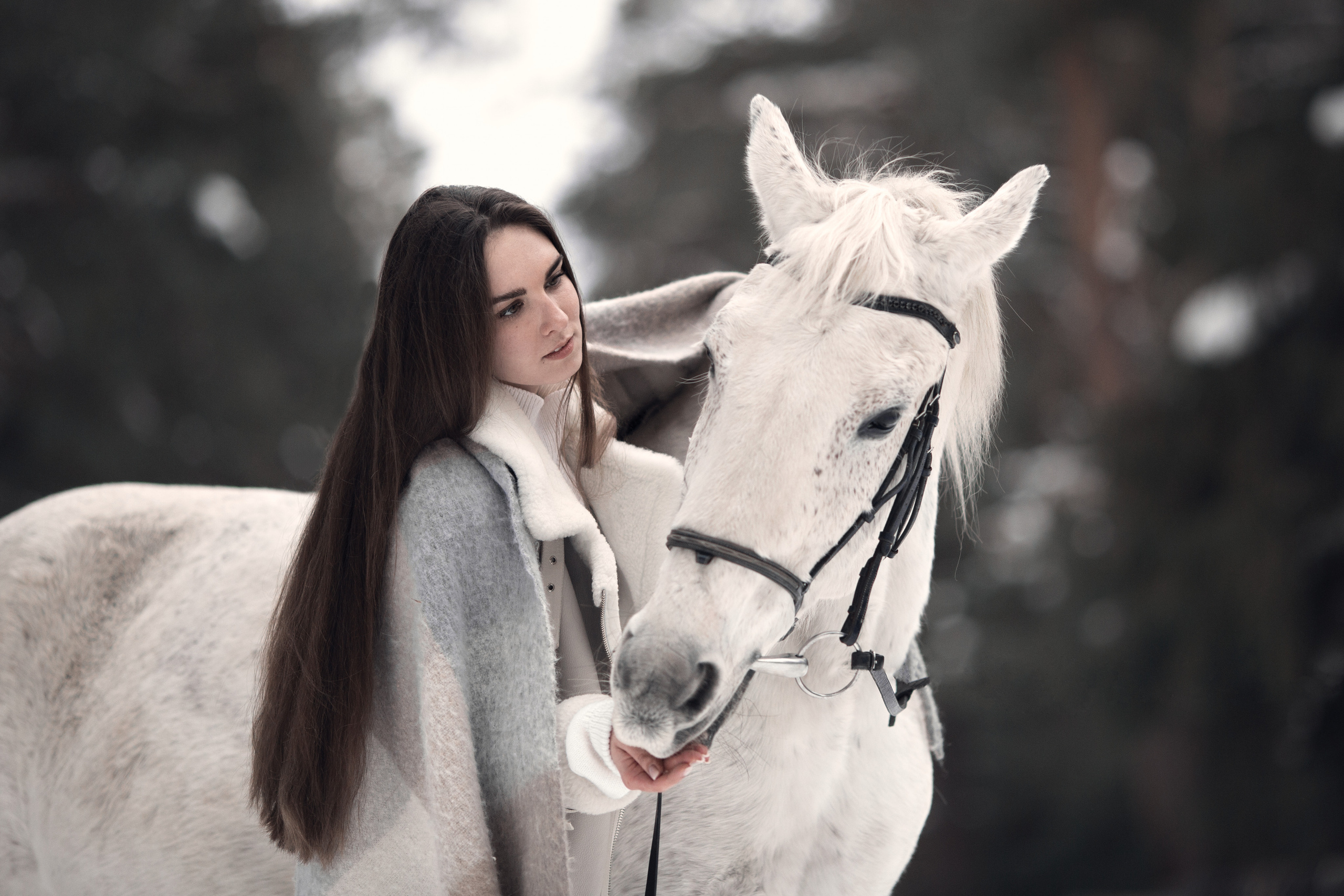 Саша и Каспер. Фотограф-анималист Мартынова Анастасия