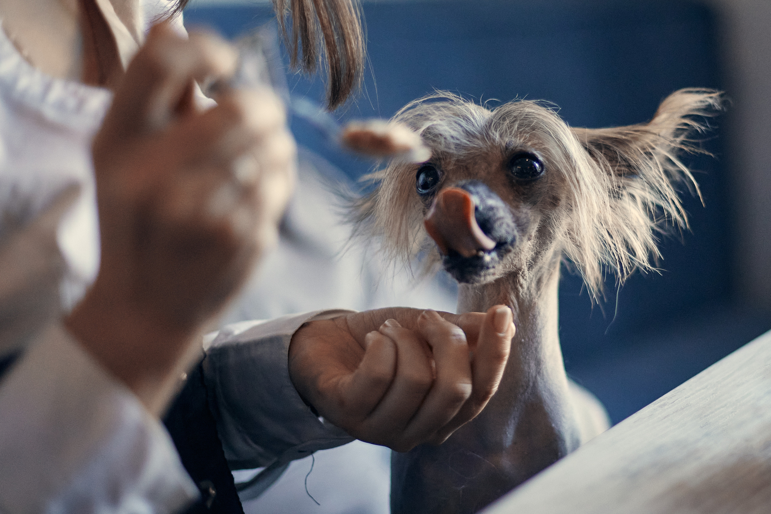 Надежда и Арчи. Фотограф-анималист Мартынова Анастасия