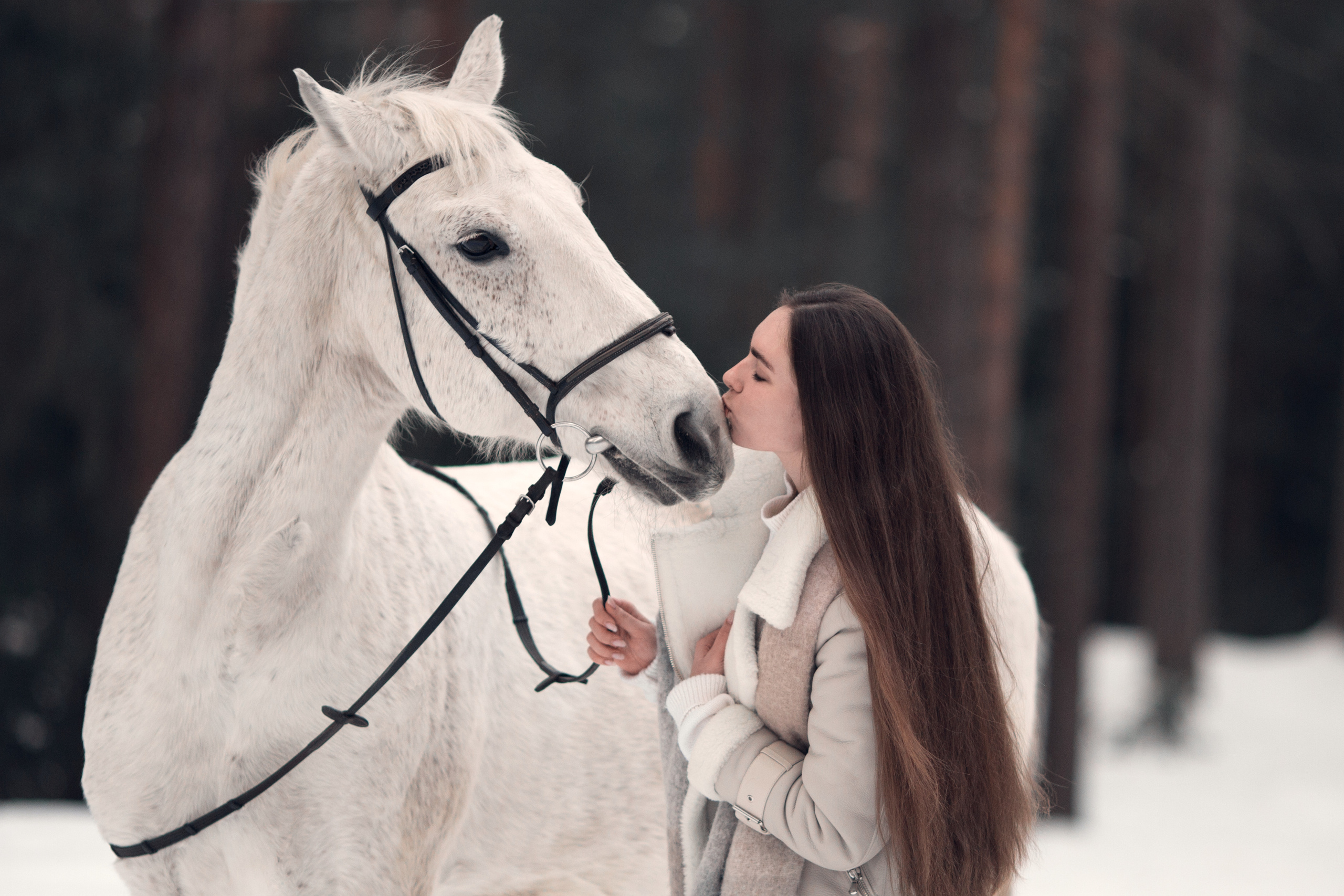 Саша и Каспер. Фотограф-анималист Мартынова Анастасия