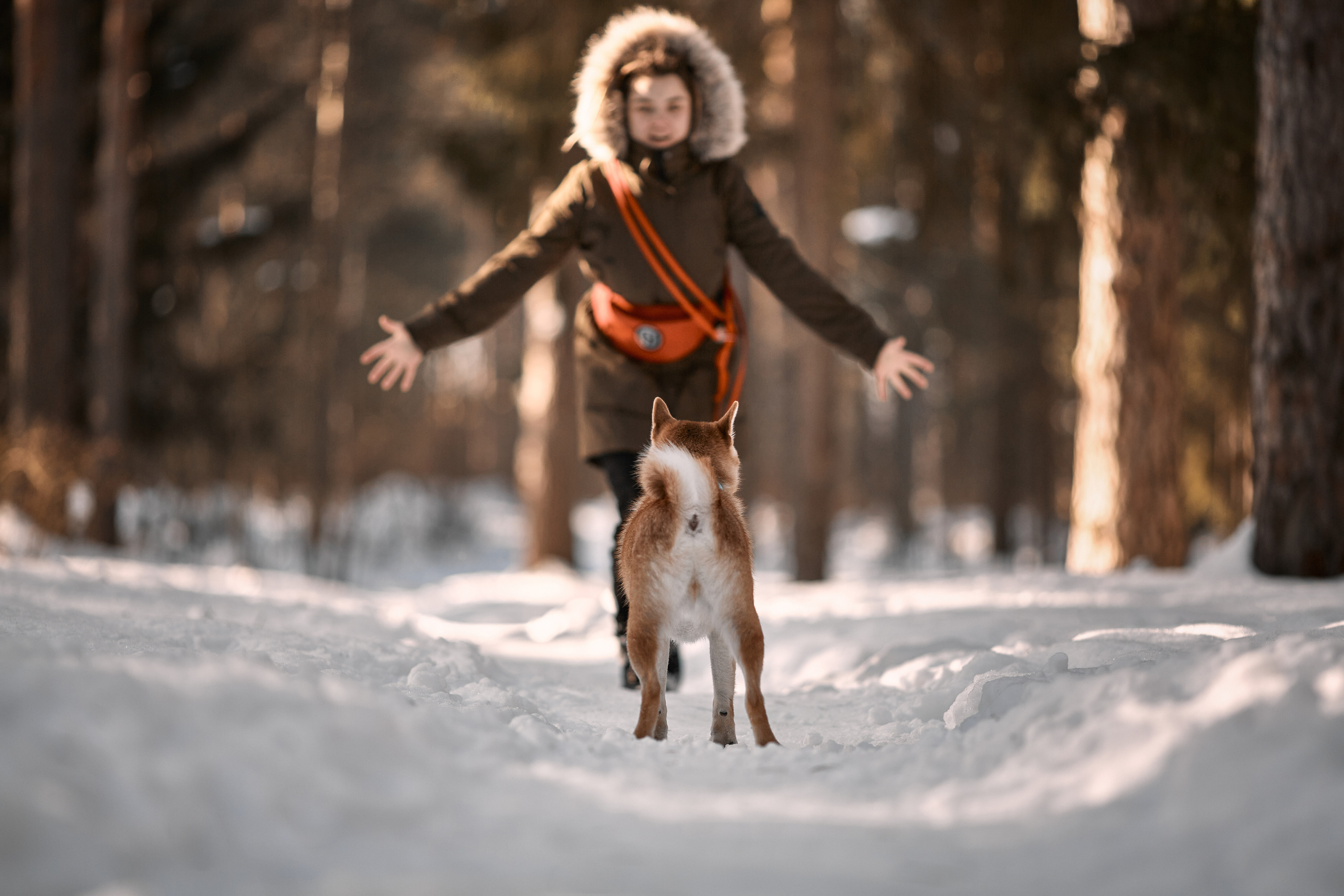 Ирина и Симба. Фотограф-анималист Мартынова Анастасия
