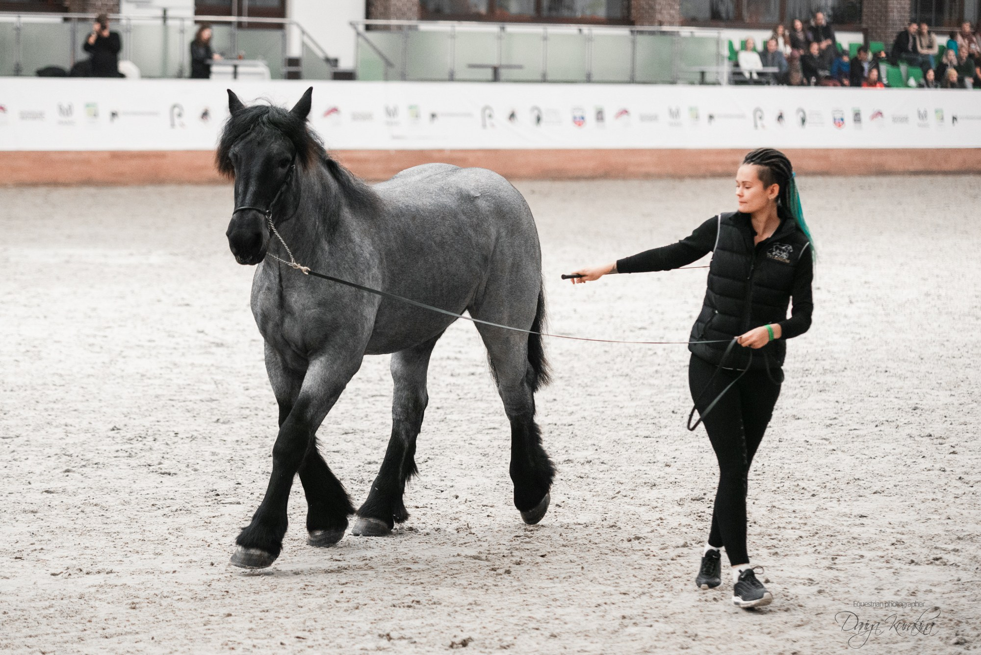 8-я международная выставка Конная Россия. Конный фотограф Куракина Дарья • Фотосессии с лошадьми