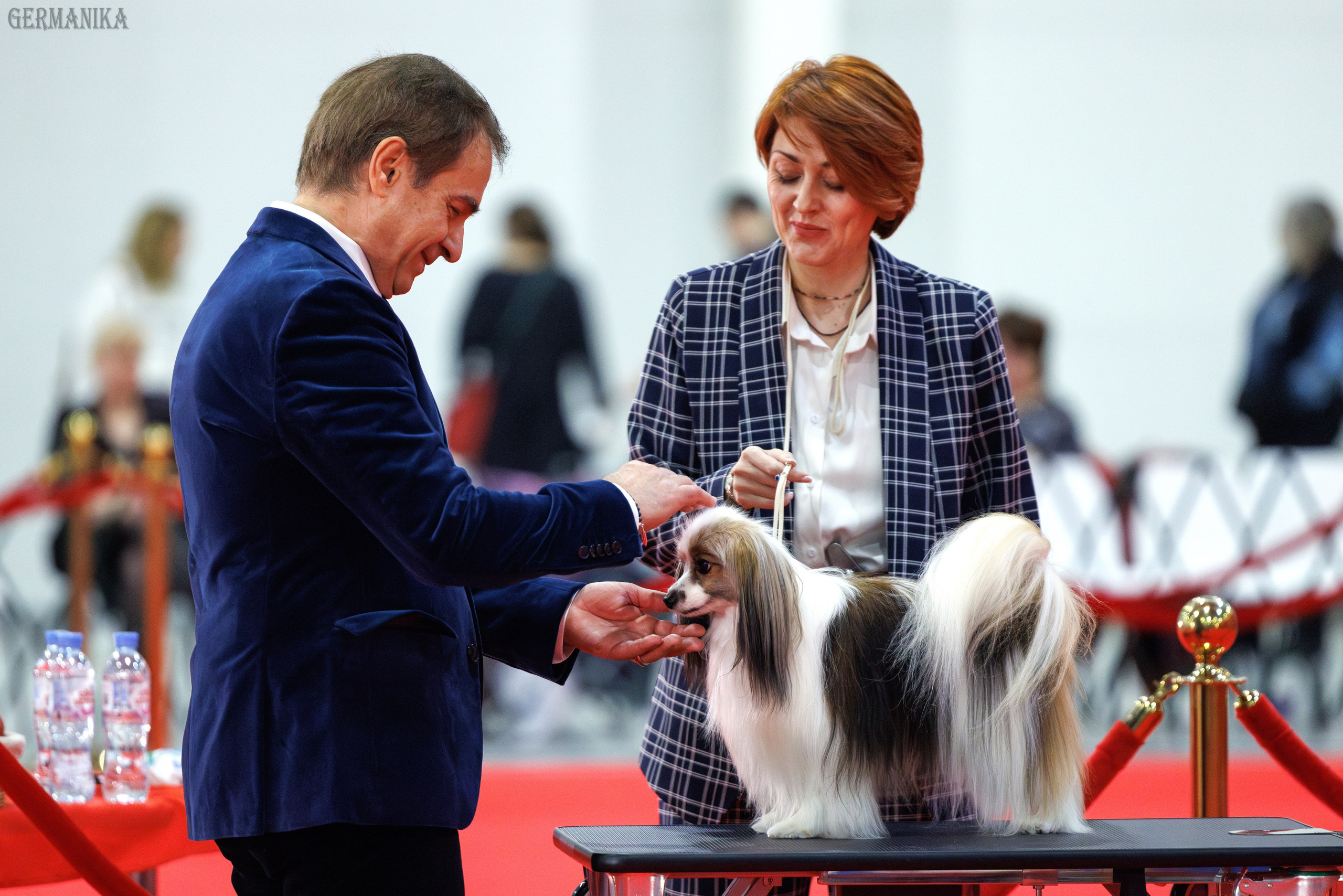 Лучшие Собаки России 17-18.02.2024. Фотограф-анималист Юлия Германика