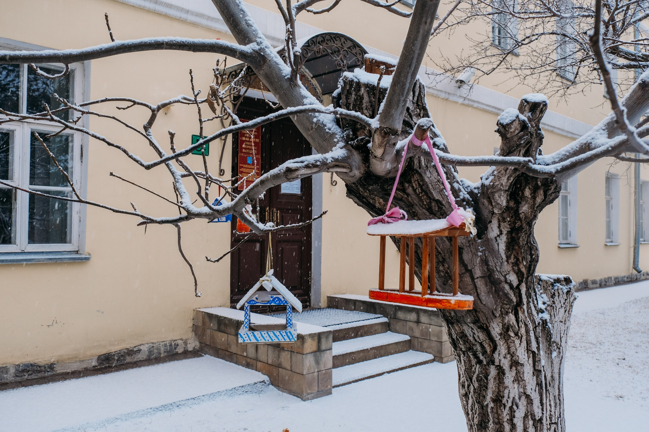 Снегопад. Фотограф Анатолий Деникин