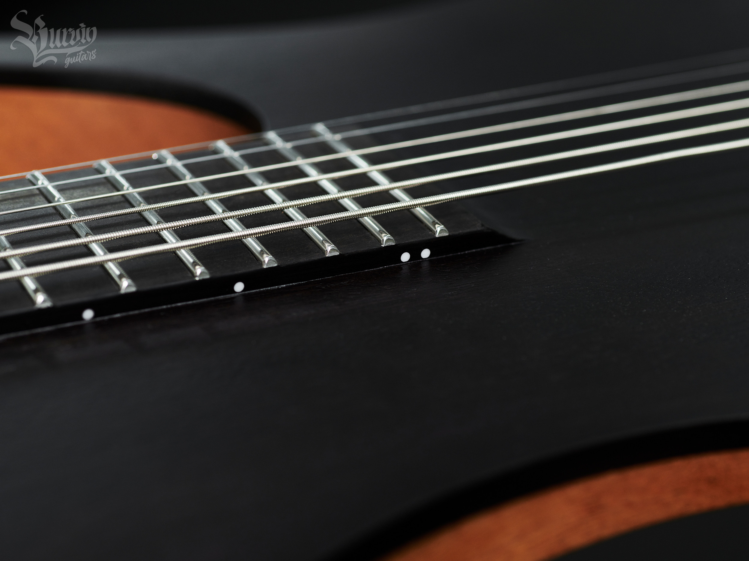 016 ZLAYA SOBAKA mk2. Master of making guitars and basses to order