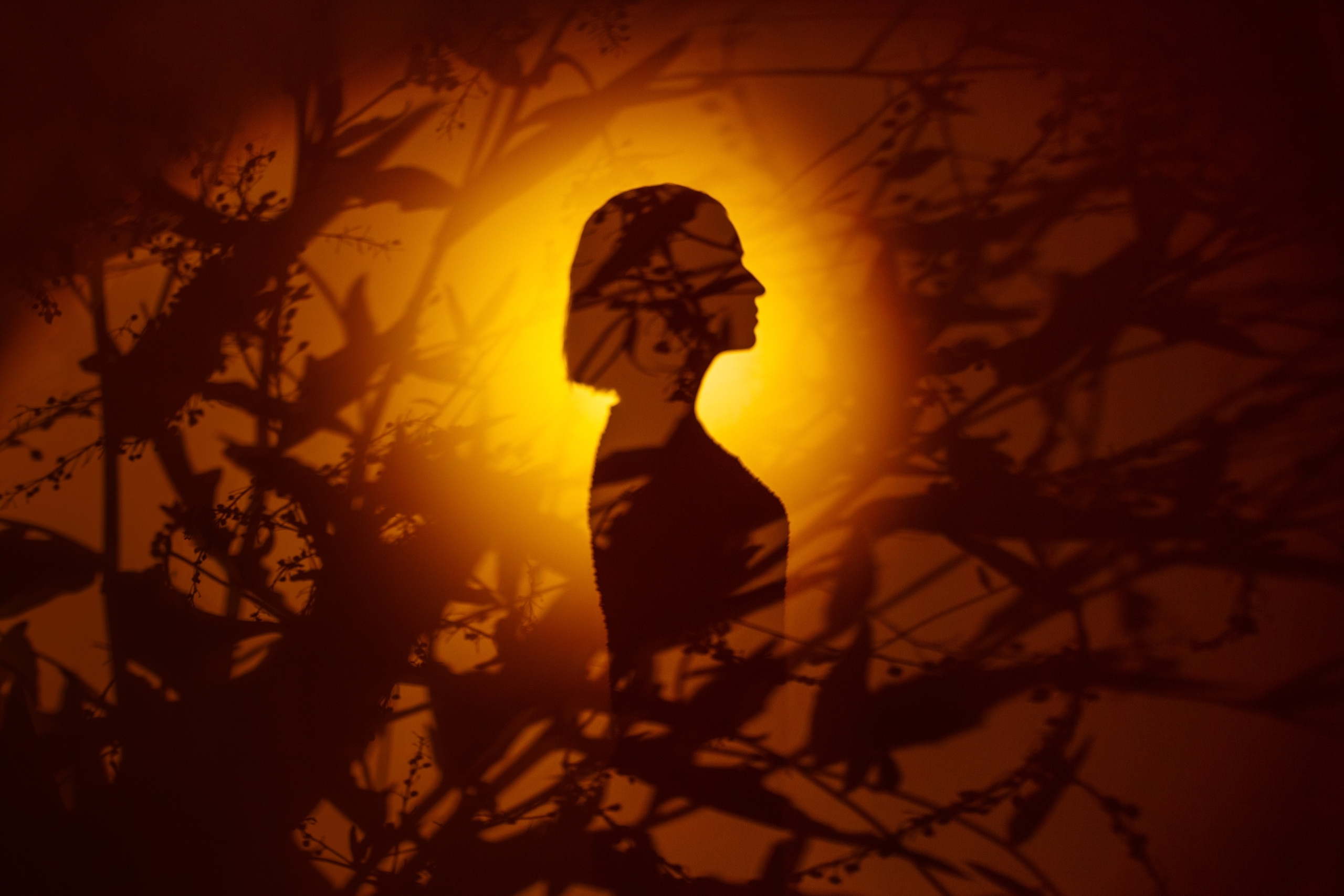 Творческие арт-проекты. Фотограф Роман Целоусов