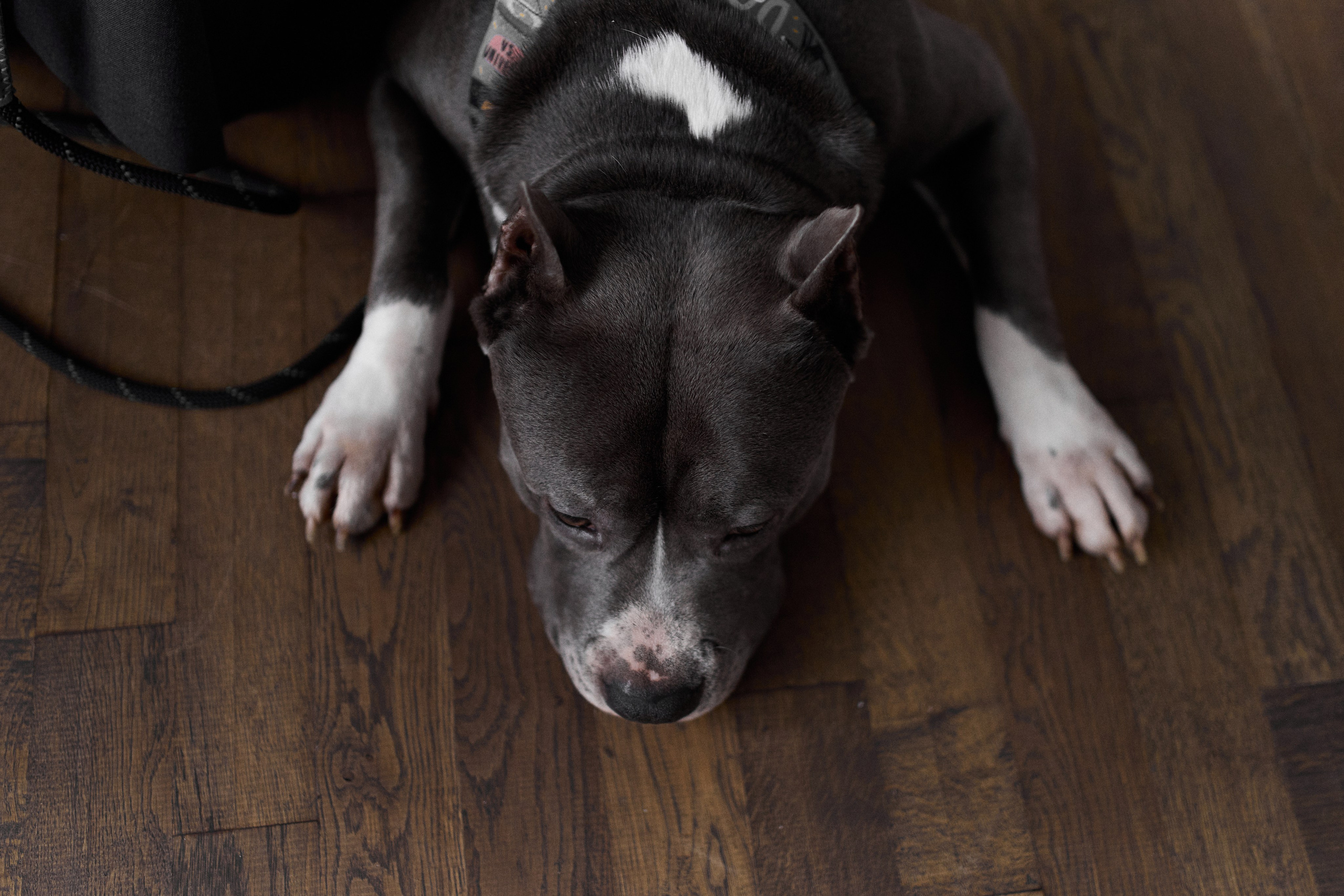 Юля и Север. Ваш душевный фотограф