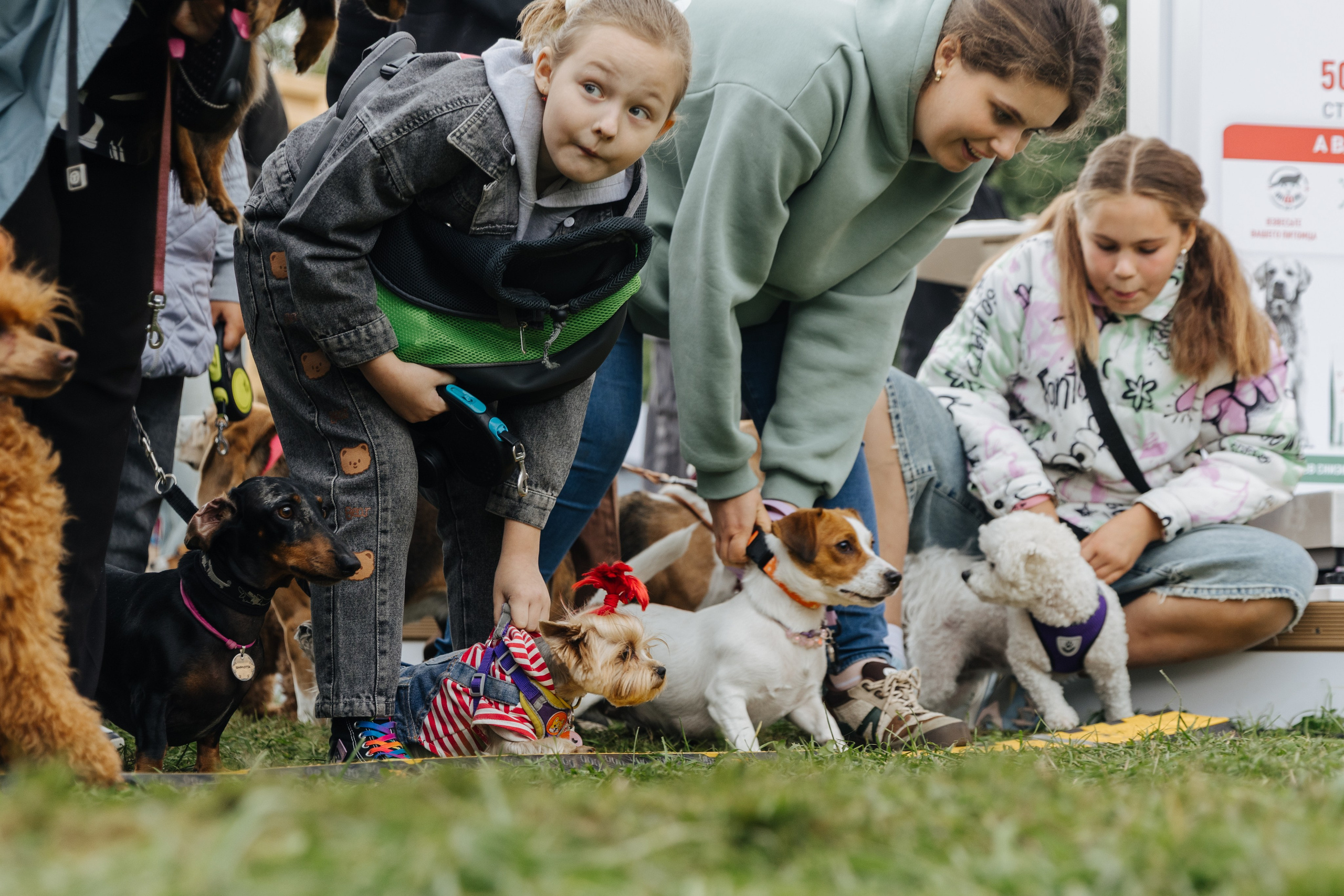 Хвостатый репортаж. Аксана Лисовская фотограф в Москве. Фотографии с характером