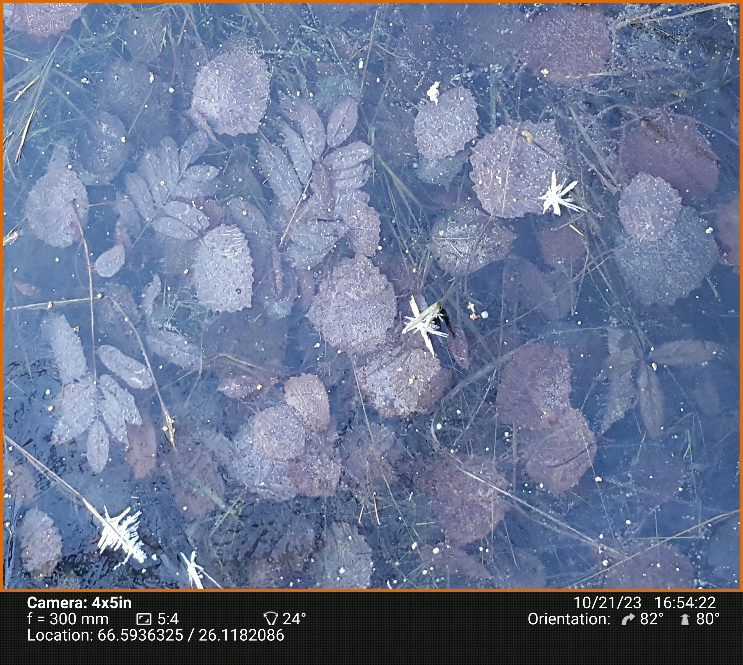 Könkäänsaari. Северные Ночи