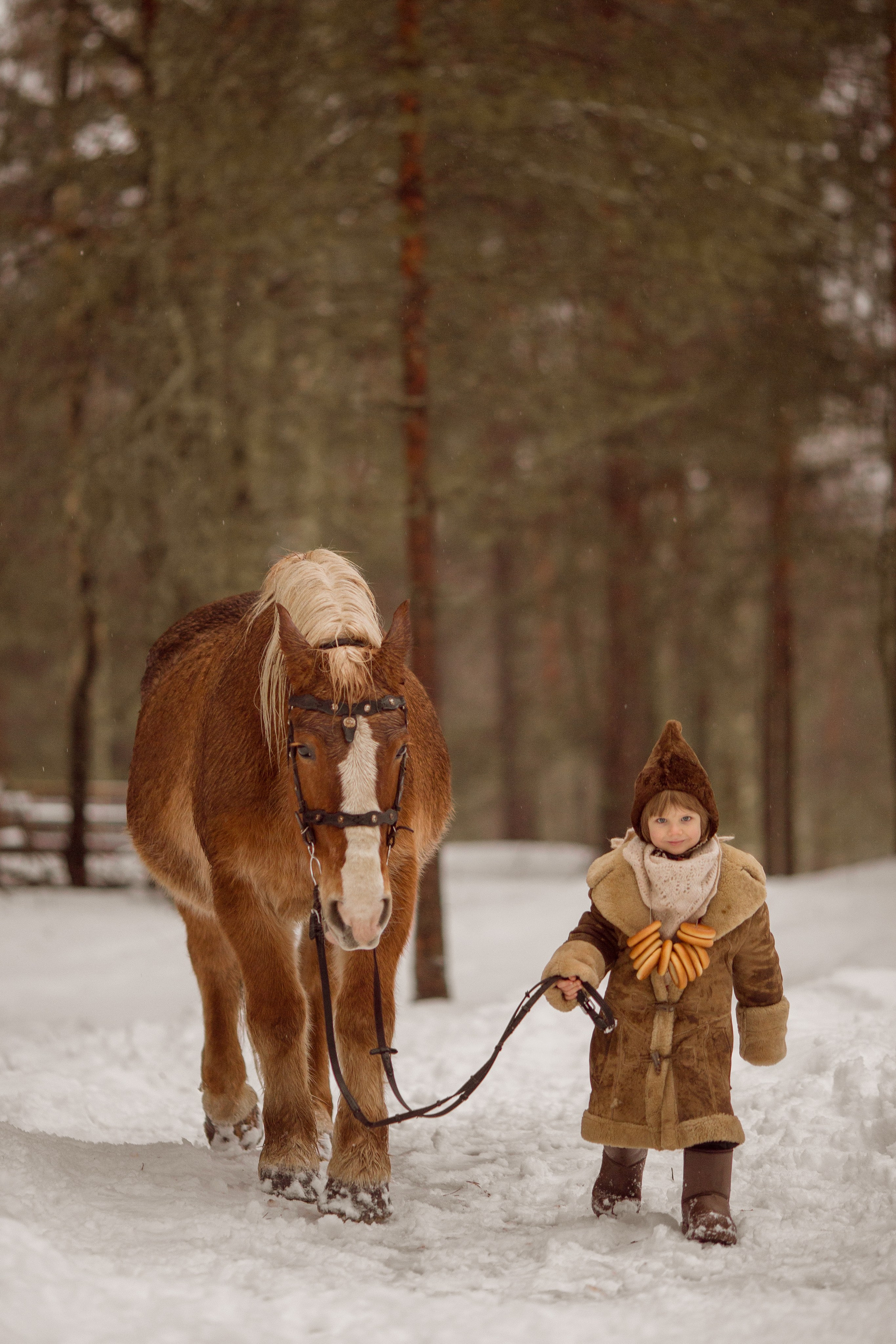 Фото мальчика и лошади зимой