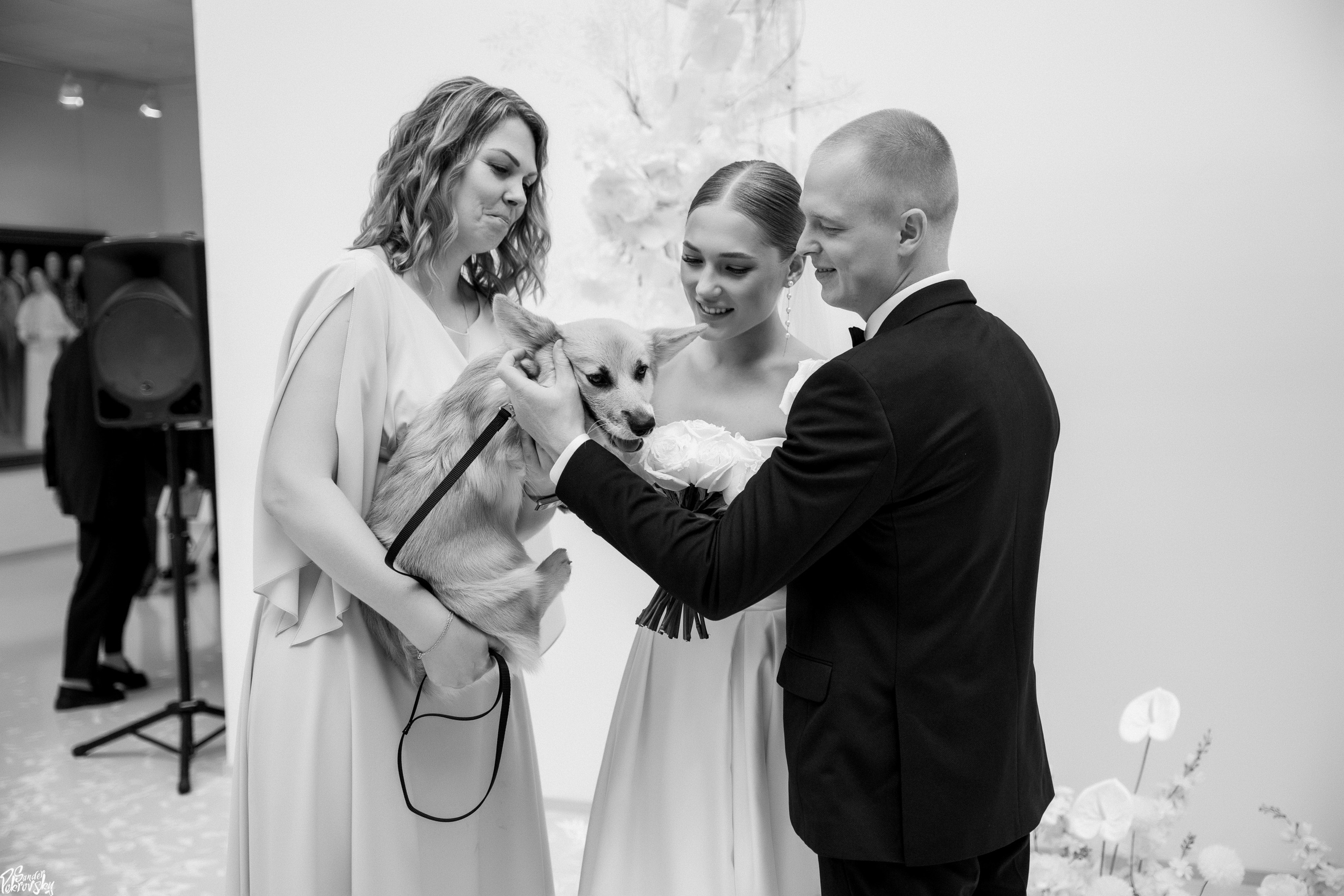 Роман & Наталия 12.08.2023. Свадебный и репортажный фотограф в Чебоксарах Покровский Александр