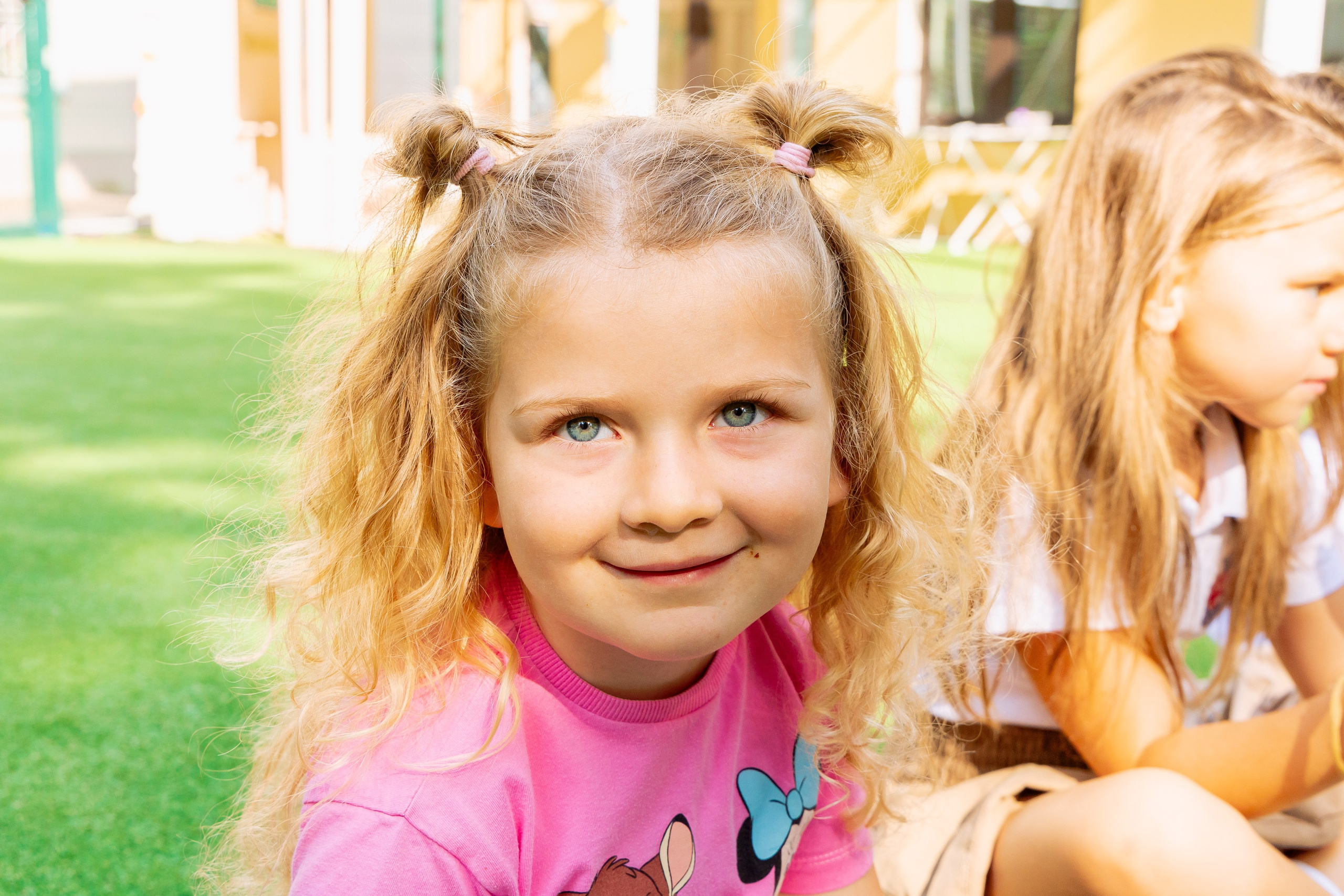 Школа и сад