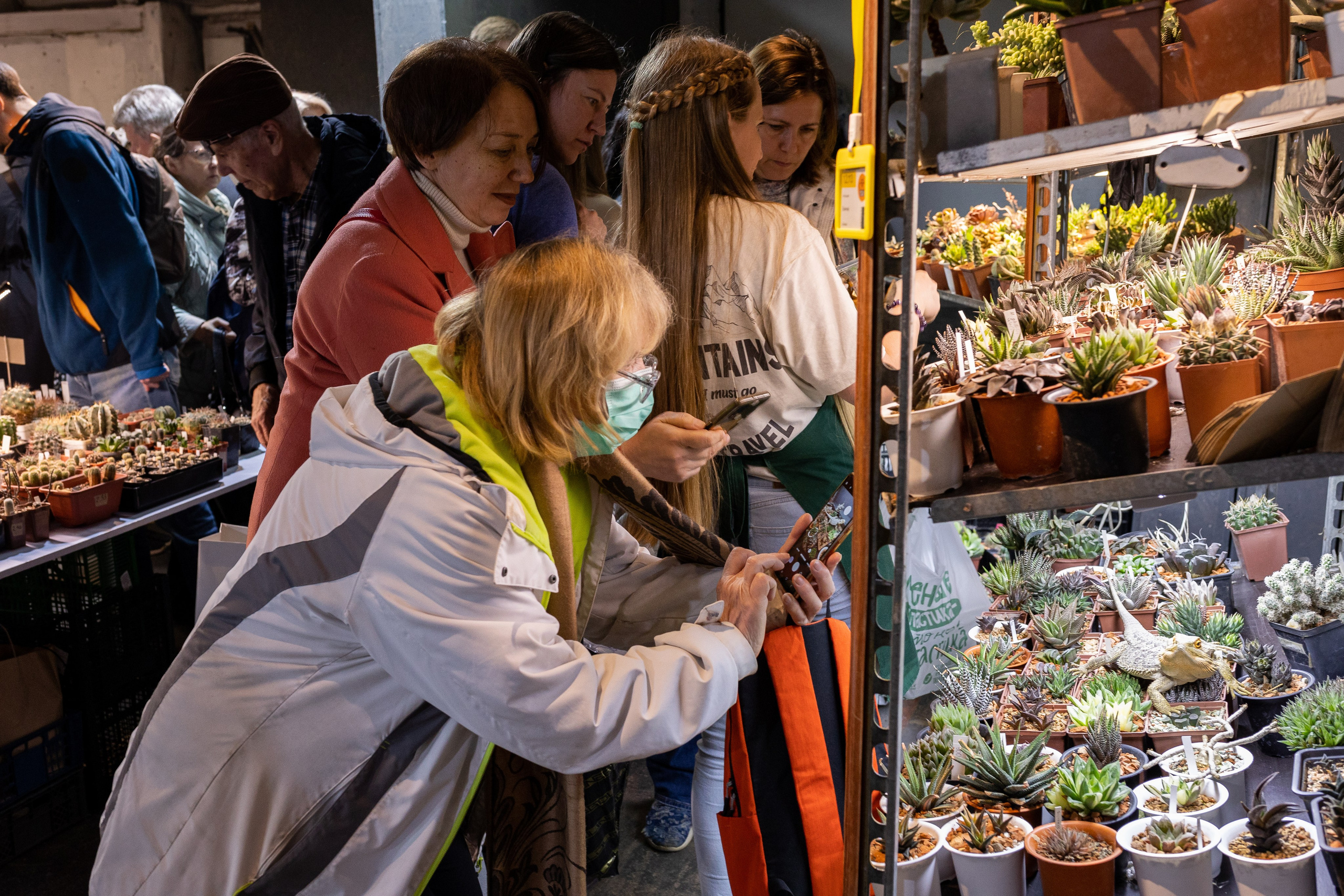 Meza market 2024. Александра Куликова фотограф, Москва