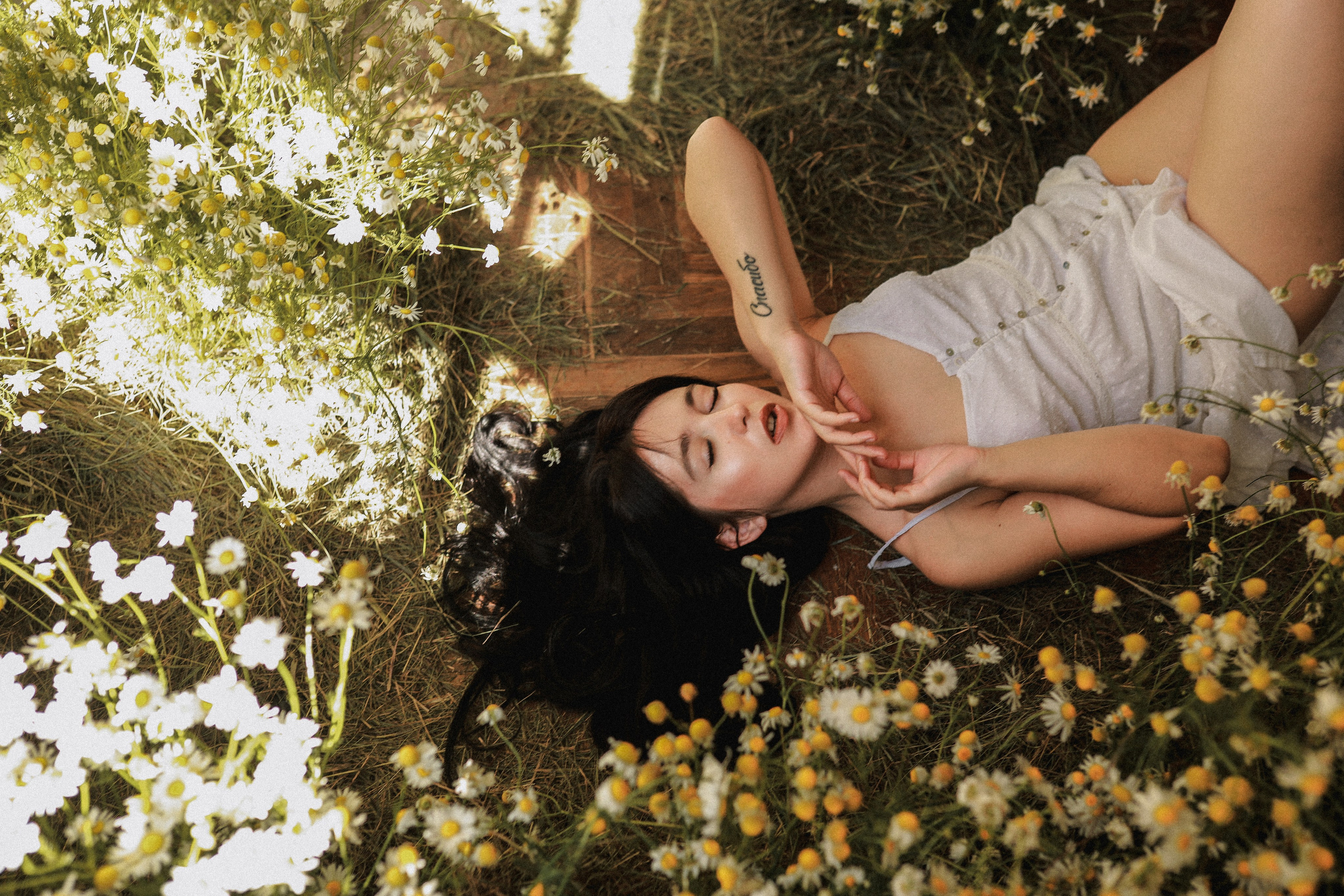 Сон в летнюю ночь | Ромашковое поле