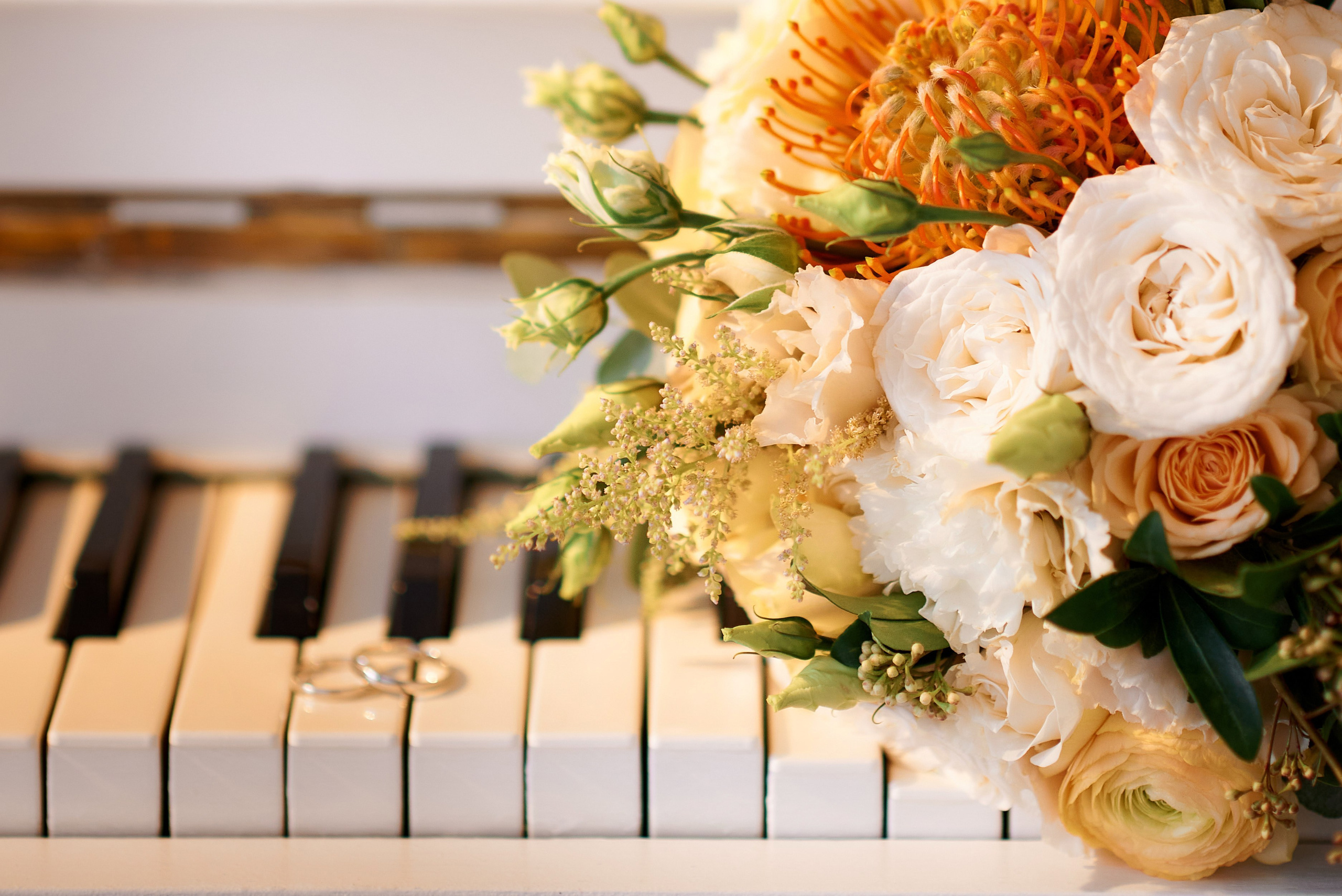 Д & М. Семейный и детский фотограф в г. Ногинске Ангелина Хасанова