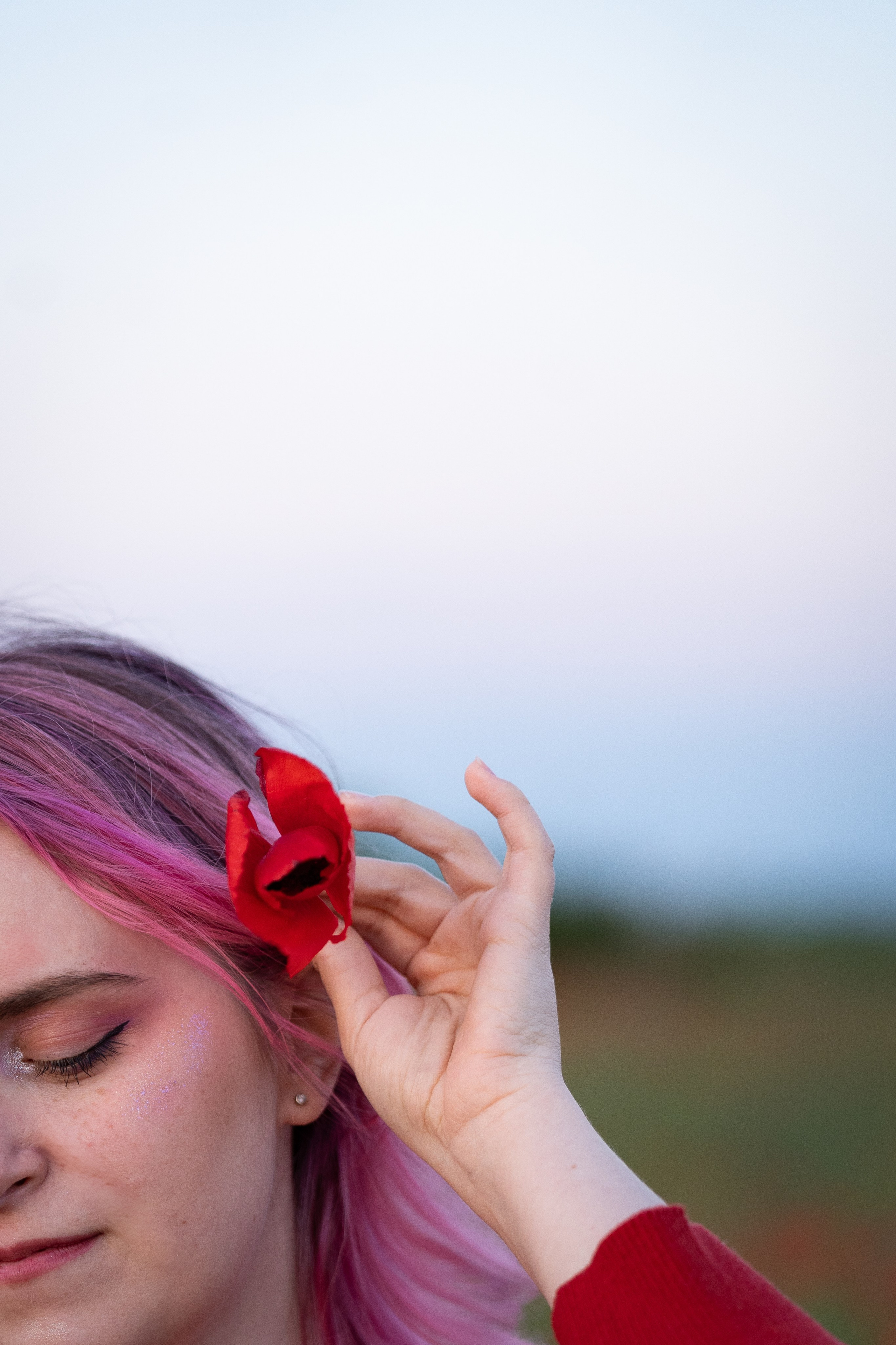 Маковое поле. Фотограф анималист