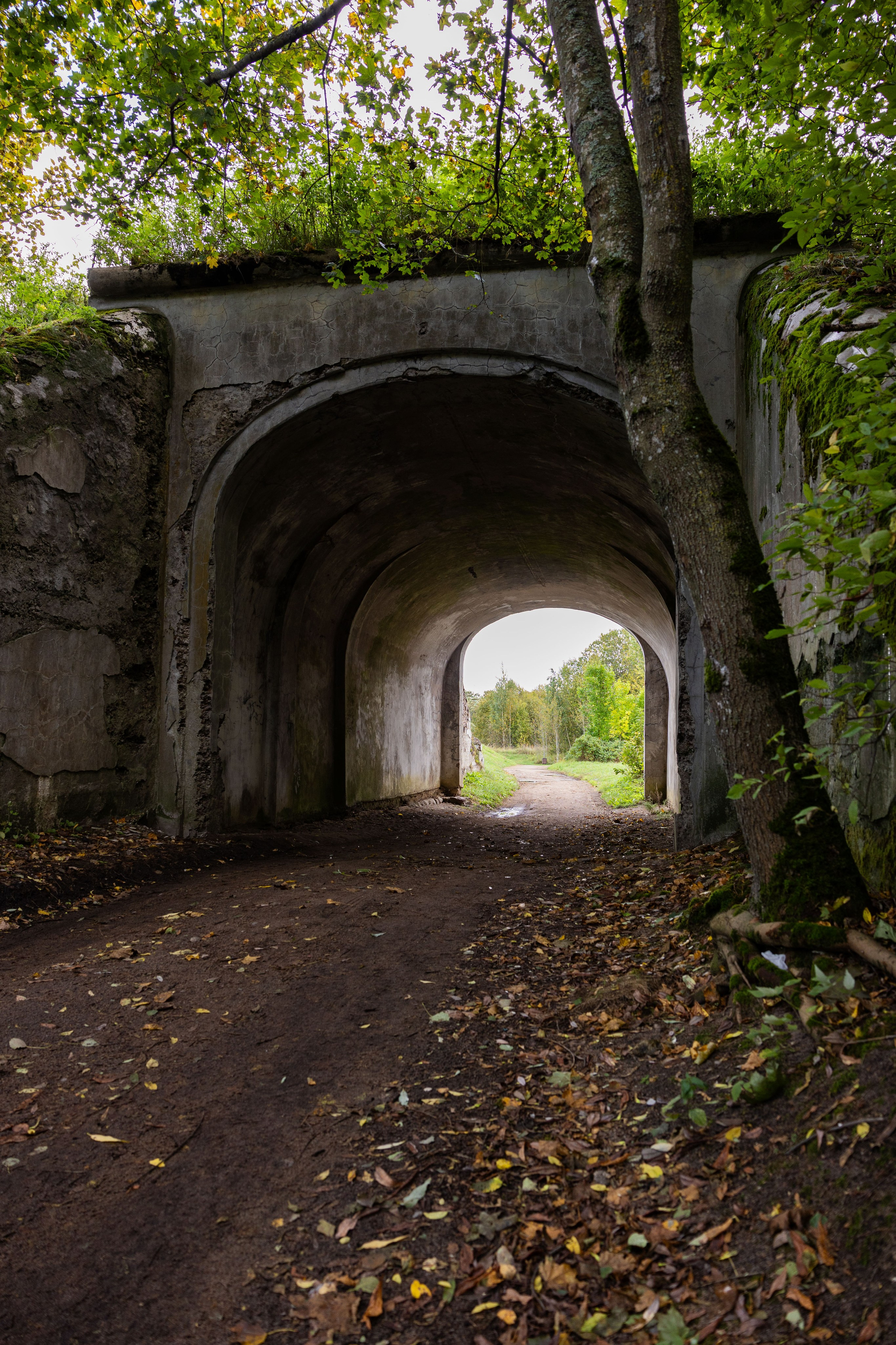 Зеленый пластик. Западный Котлин. Фотограф/видеограф в Санкт-Петербурге Динара Гольдина