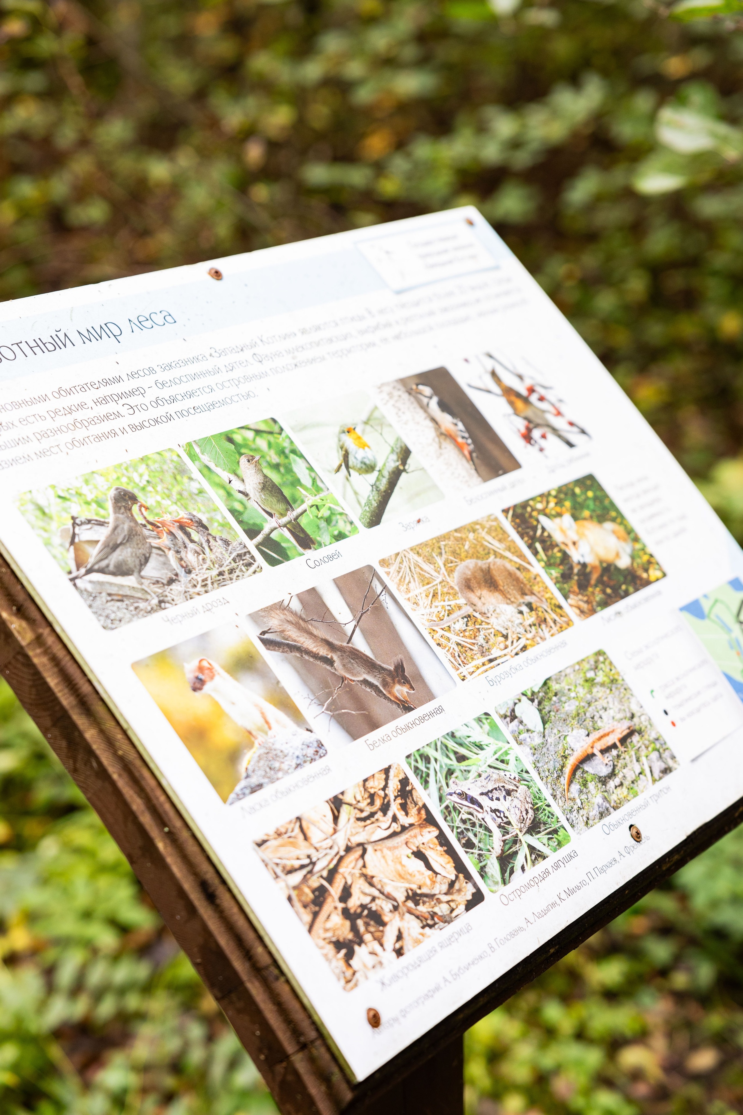 Зеленый пластик. Западный Котлин. Фотограф/видеограф в Санкт-Петербурге Динара Гольдина