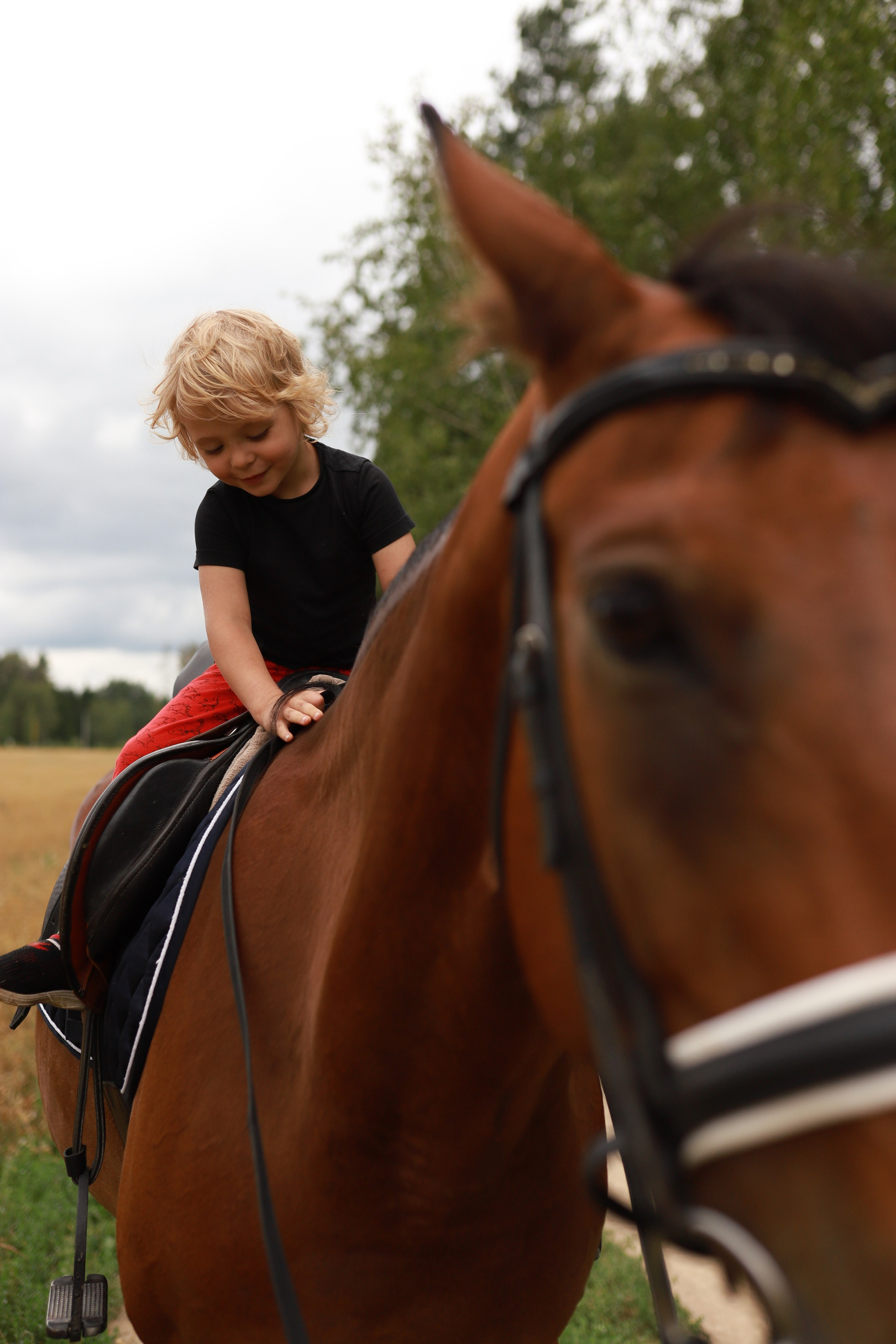 Детская история. Фотограф Москва Мытищи Фрязино