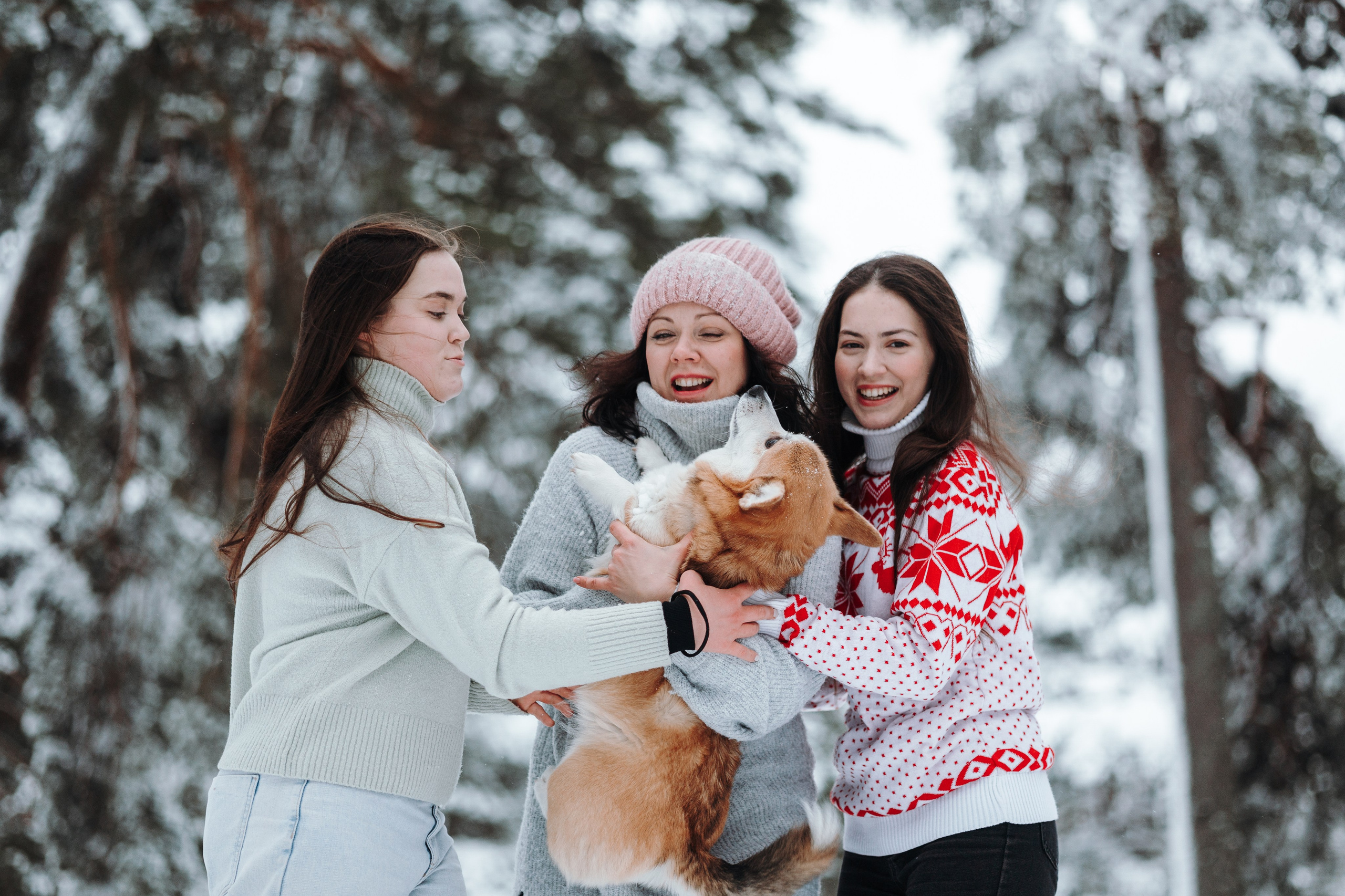 Оливка и ее семья. Фотограф — Анималист | Санкт-Петербург