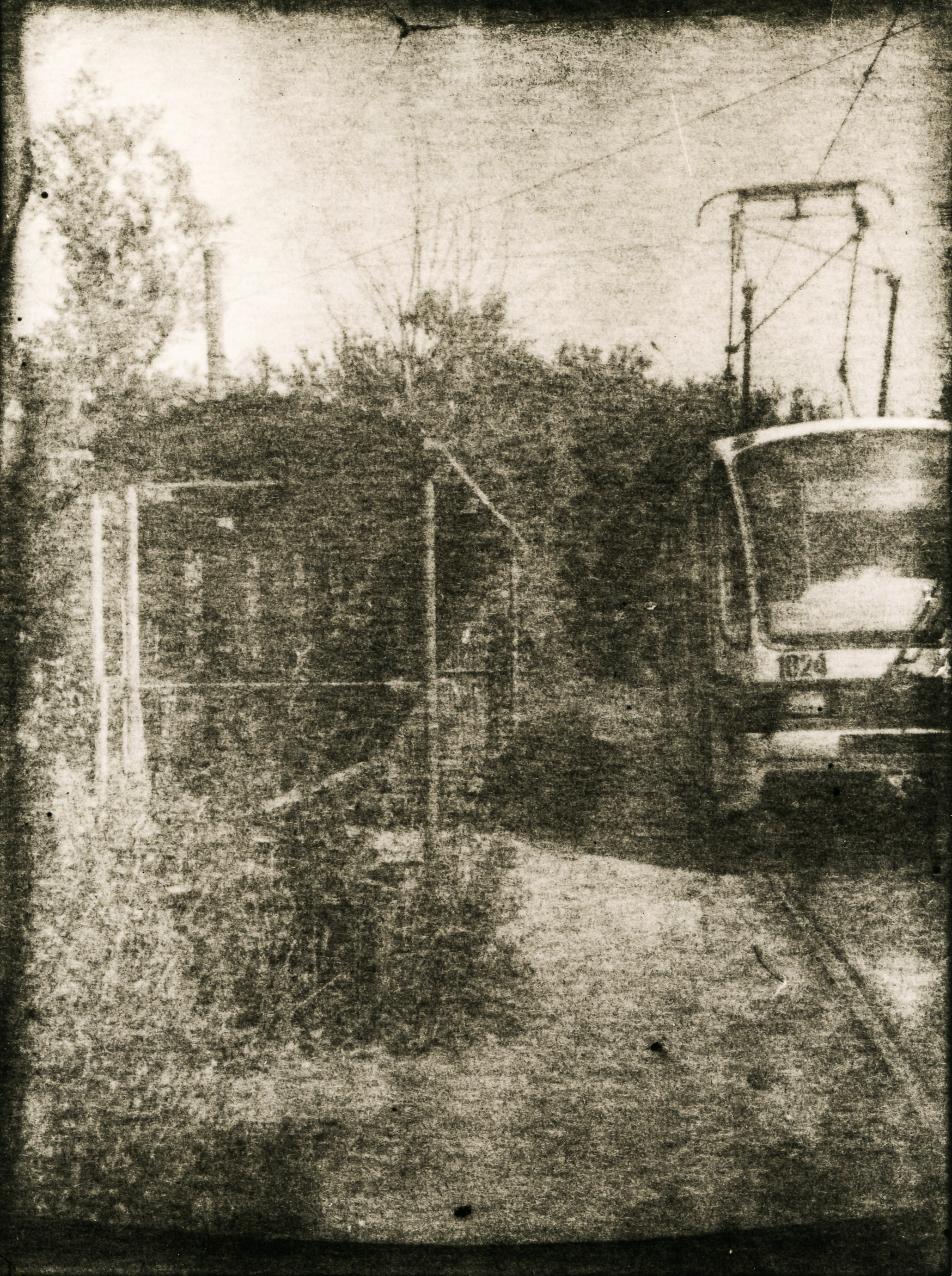 Lith prints. Darkroom aesthetics