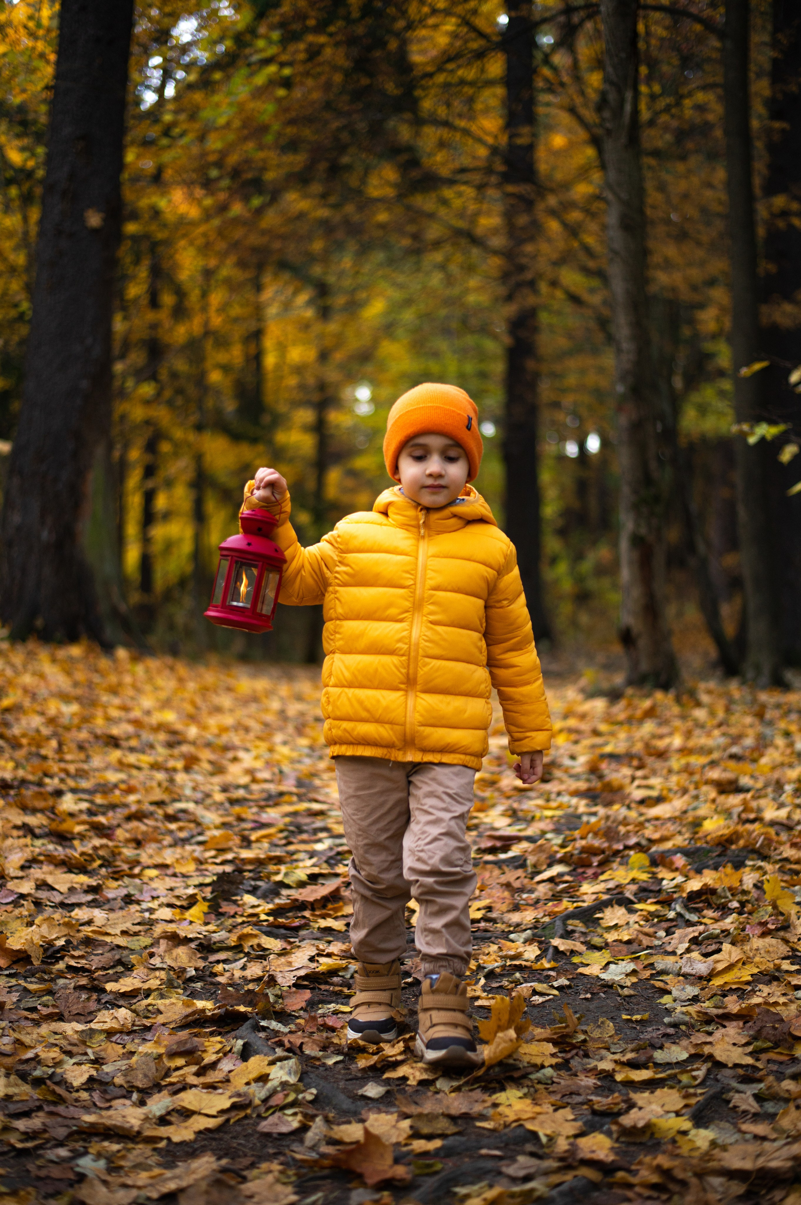 Осень в Шуваловском парке. Фотограф Санкт-Петербург | Дарья Першина