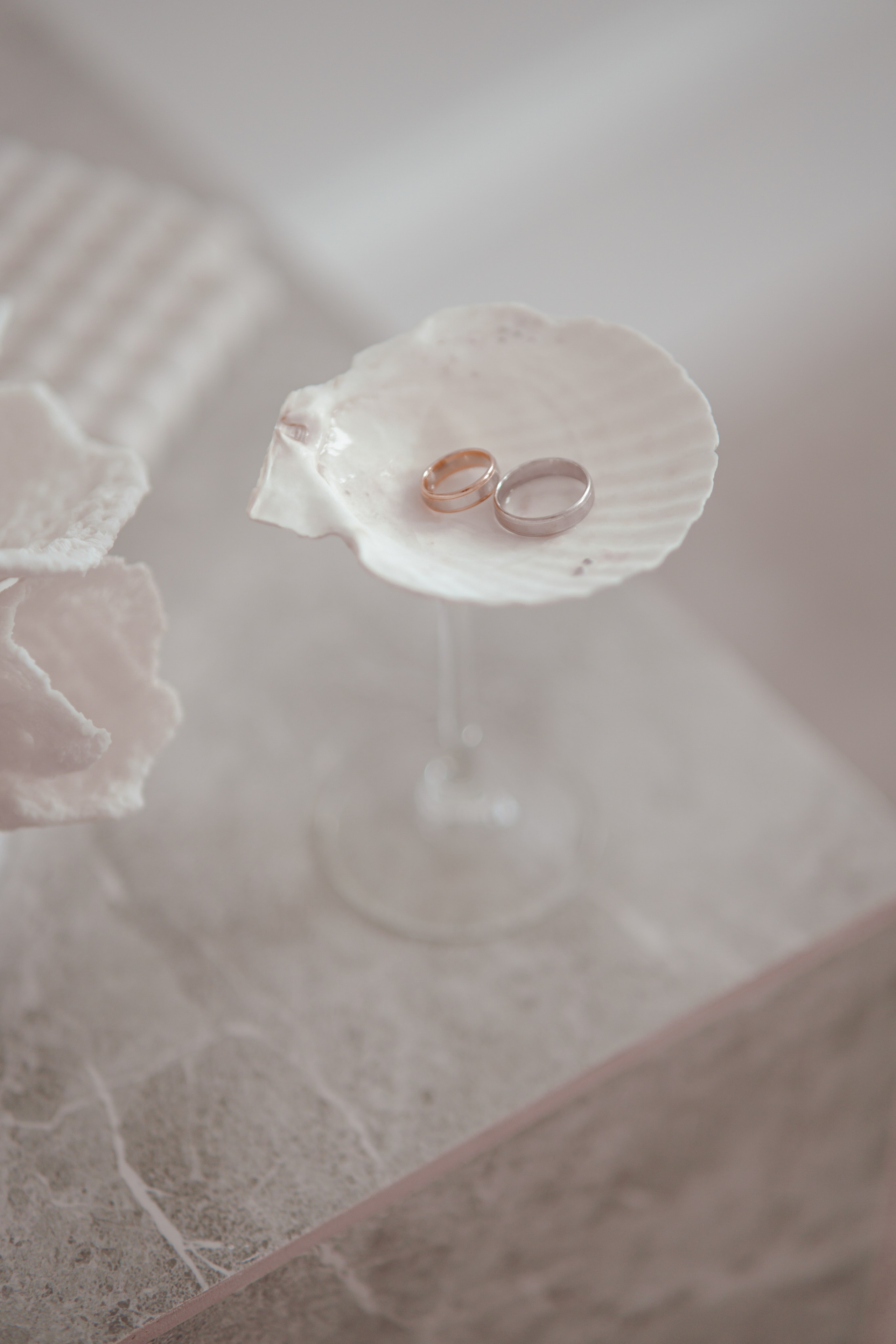 В студии. Фотограф Мария Зайчик