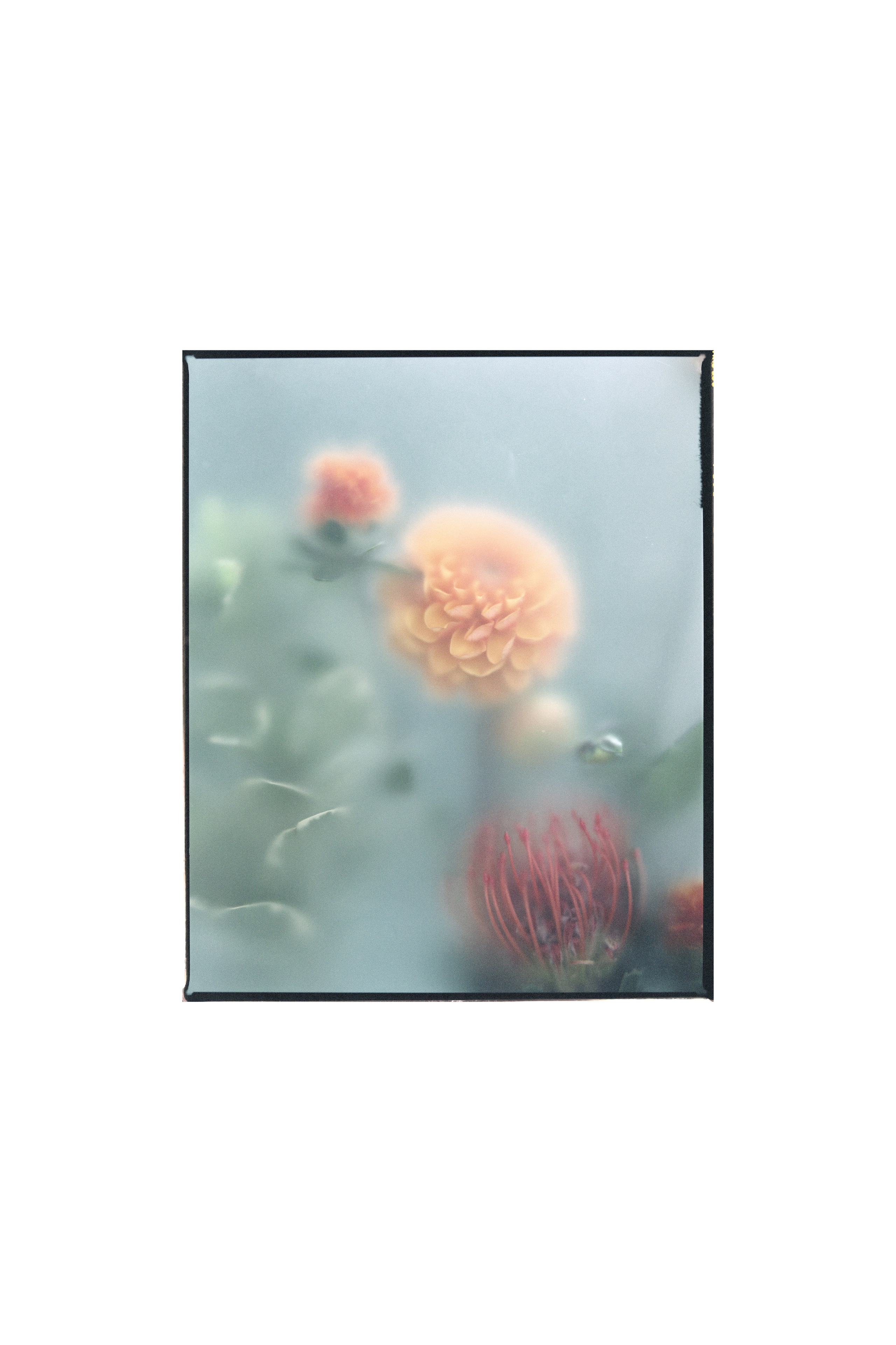 Предметная съемка. Предметный и портретный фотограф из Москвы Лосевский Александр