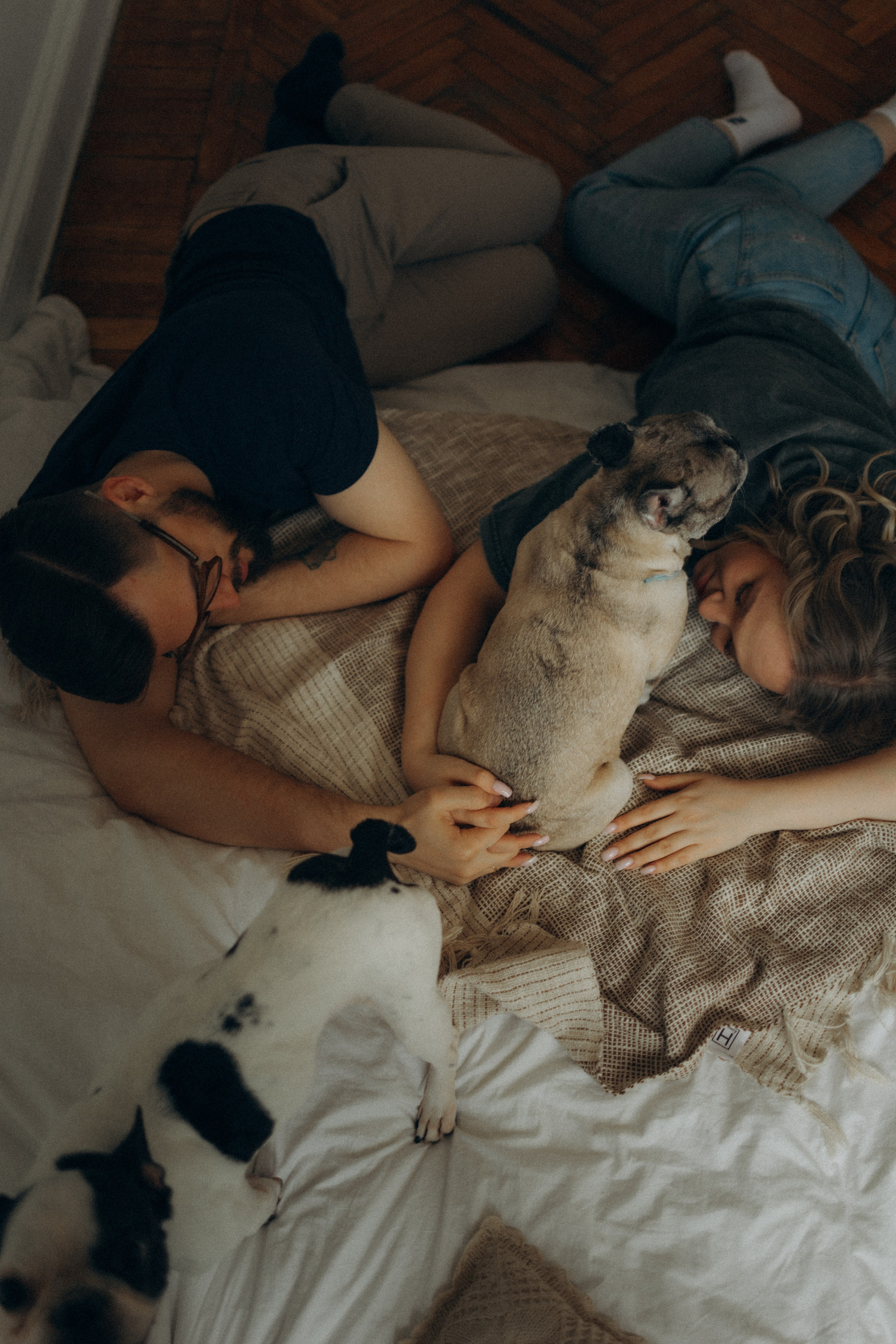 Зефирка, Булка и их Ро. Фотораф — анималист Мария Шистка