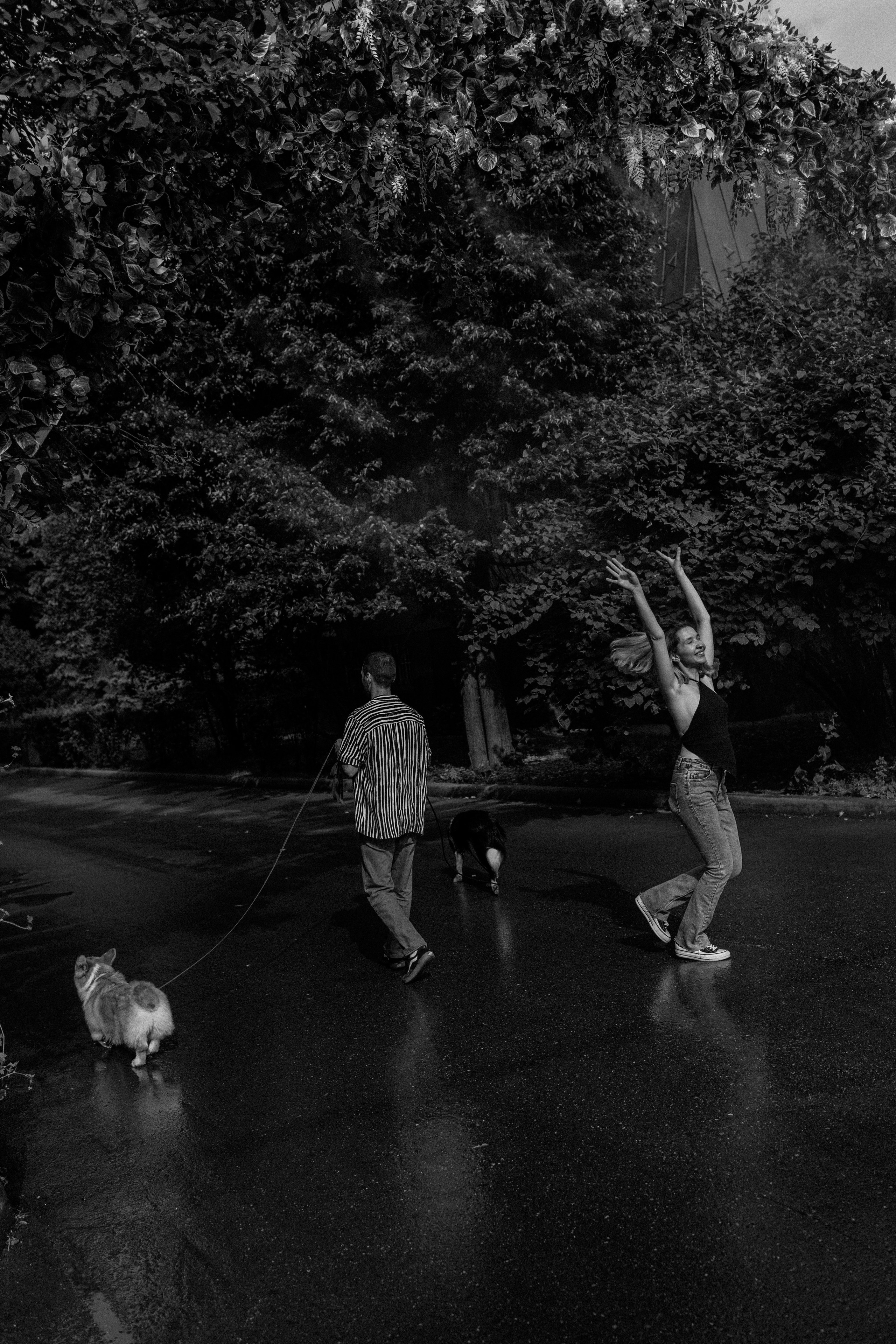 Брюс, Вейв и их ро. Фотораф — анималист Мария Шистка