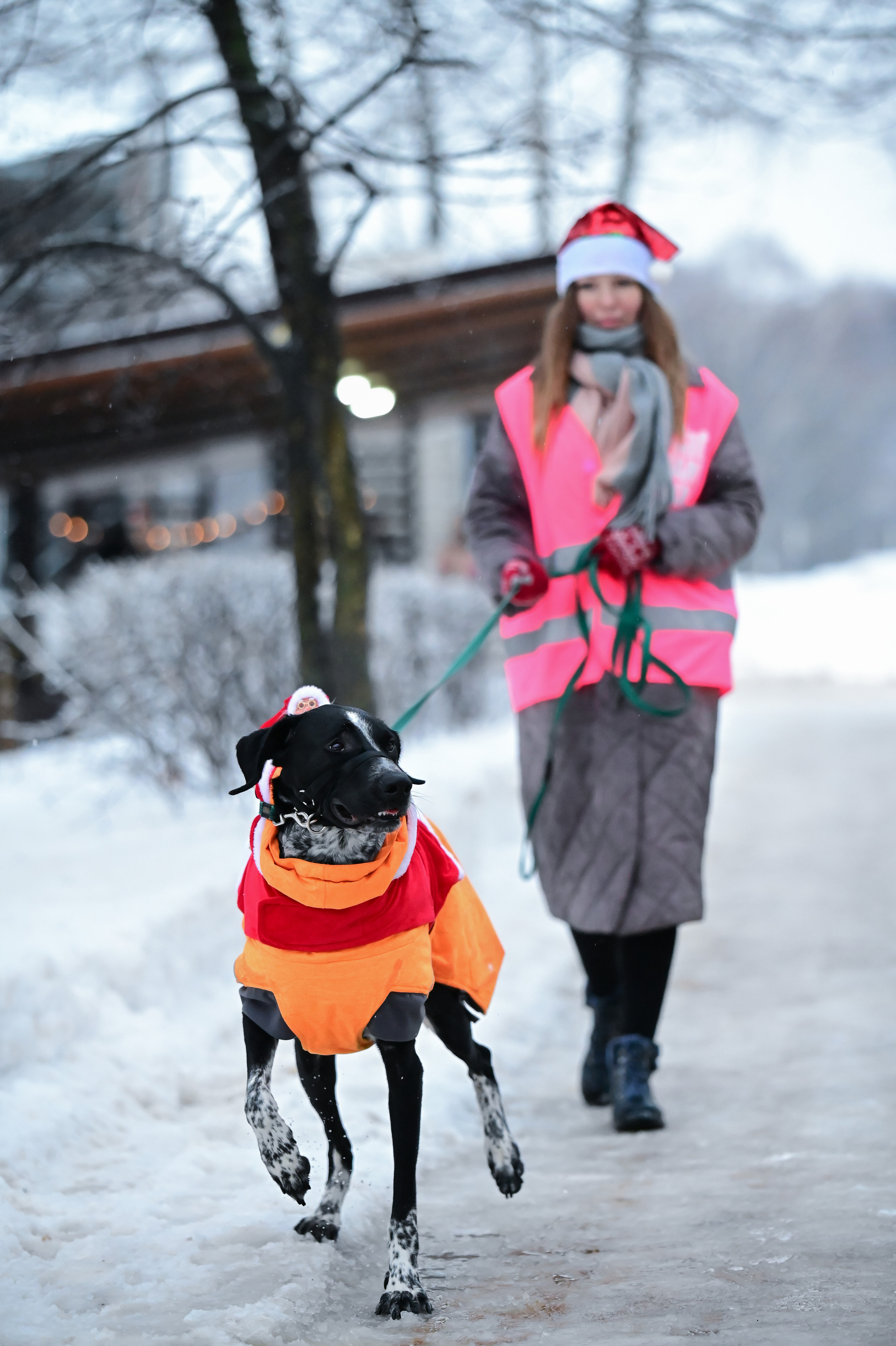 Sat9am5km Кузьминки (31.12.22). Фотограф | Ирина Гамзинова | Москва