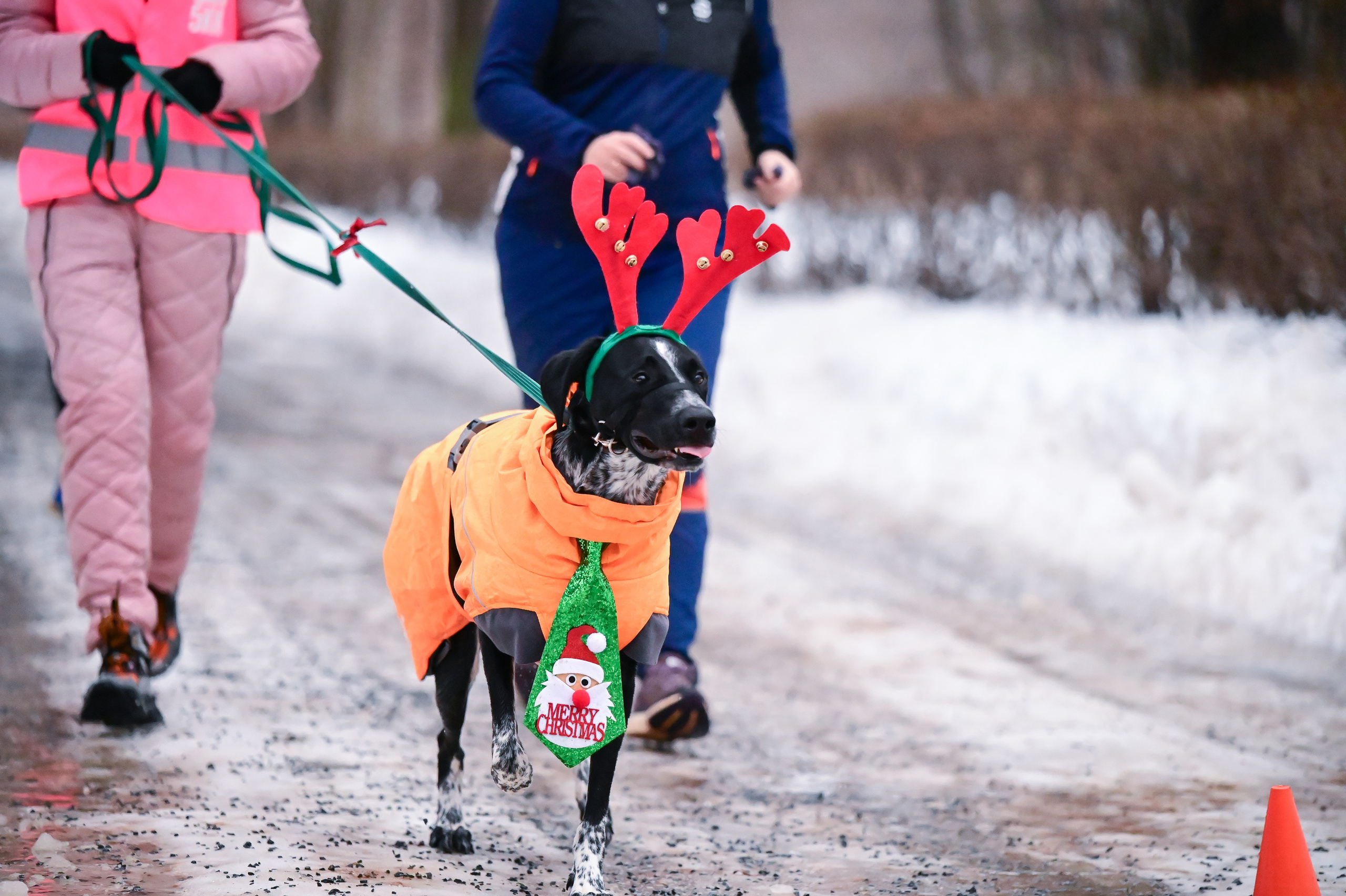 Sat9am5km Кузьминки (24.12.22). Фотограф | Ирина Гамзинова | Москва