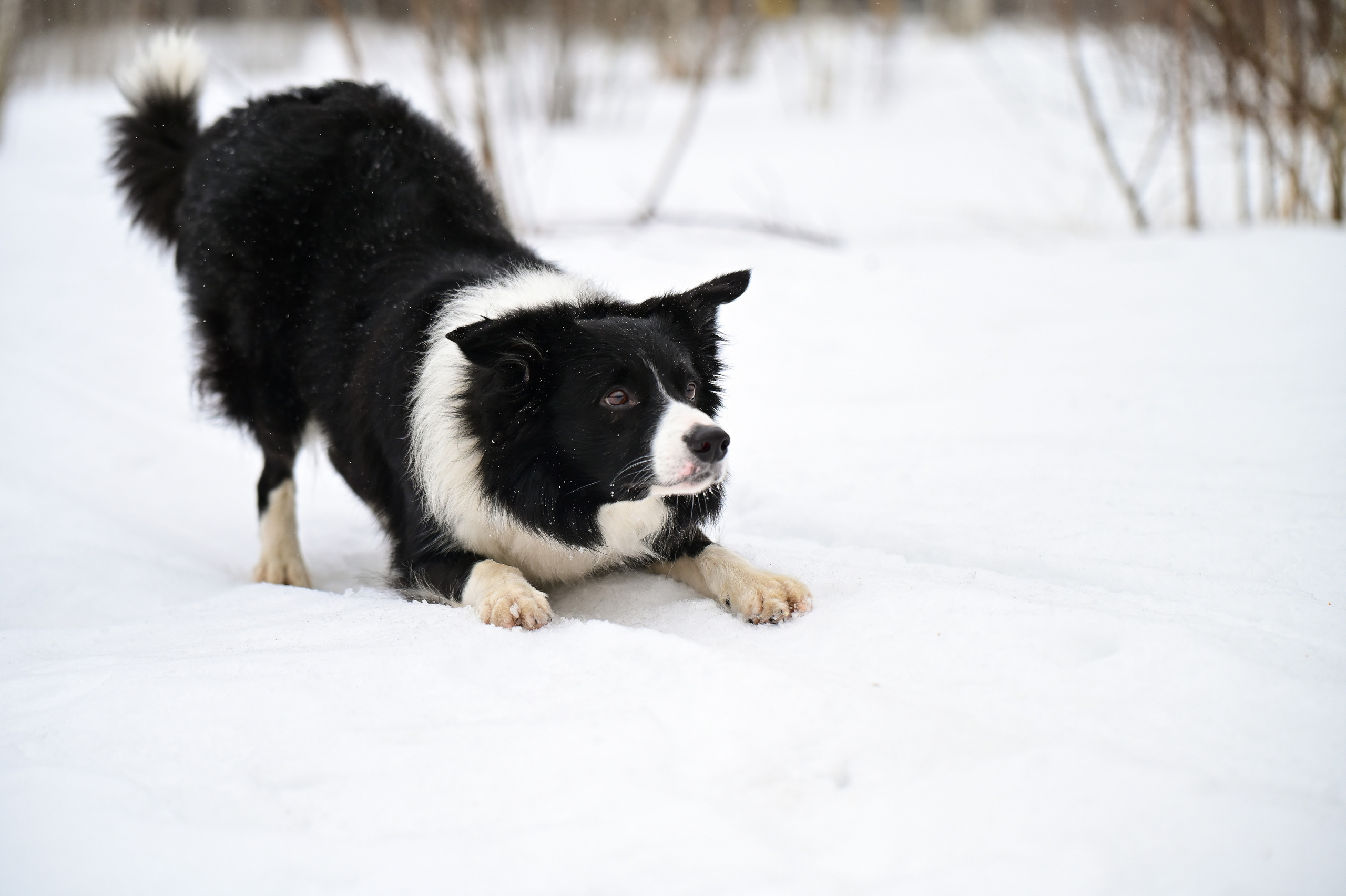 Open Band Trail — трейл Буран (парк Кузьминки) 2023. Фотограф | Ирина Гамзинова | Москва