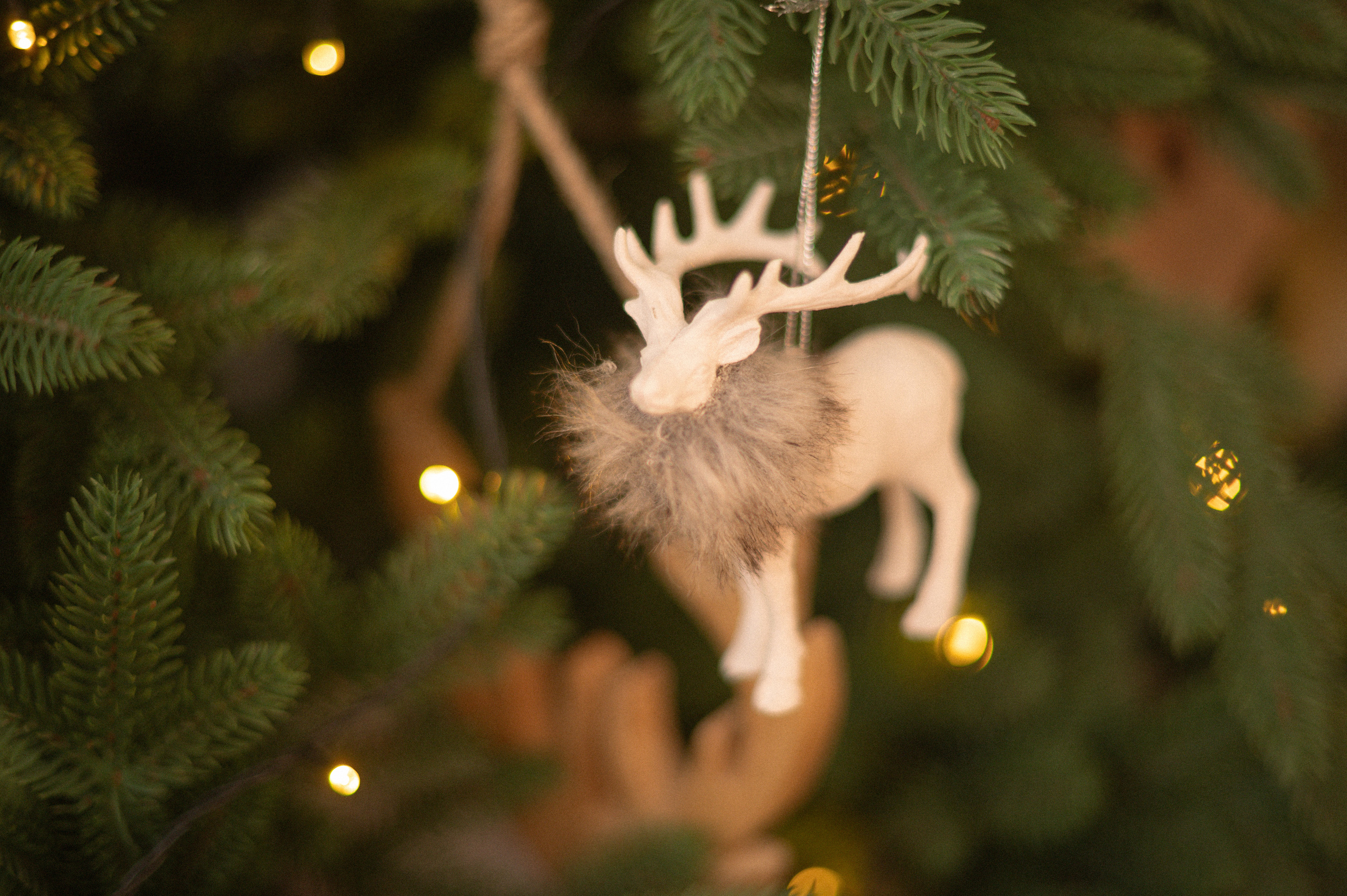 Green Dacha. Олеся. Фотограф | Ирина Гамзинова | Москва