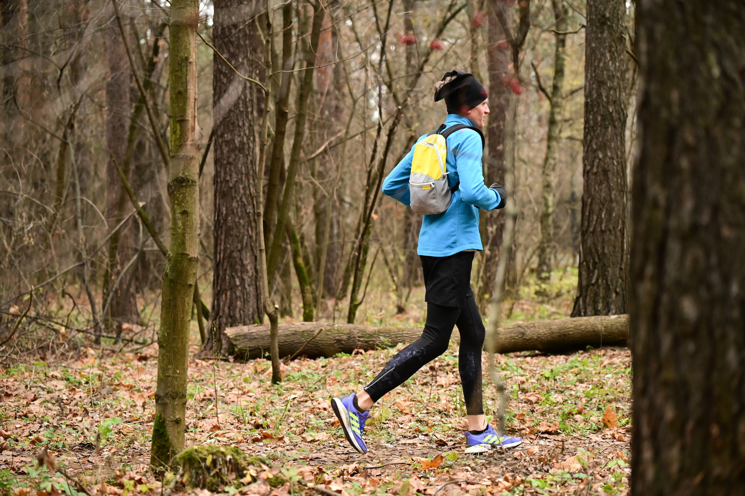 Золотое Кольцо Москвы 2022. Фотограф | Ирина Гамзинова | Москва