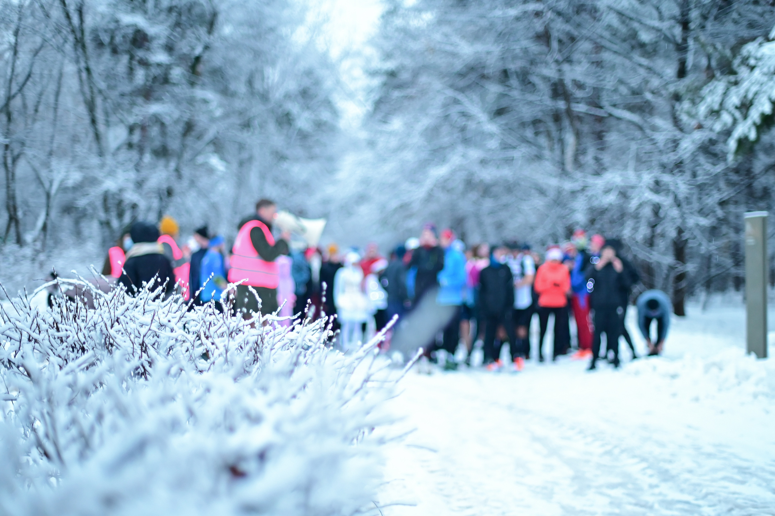 Sat9am5km Кузьминки (31.12.22). Фотограф | Ирина Гамзинова | Москва